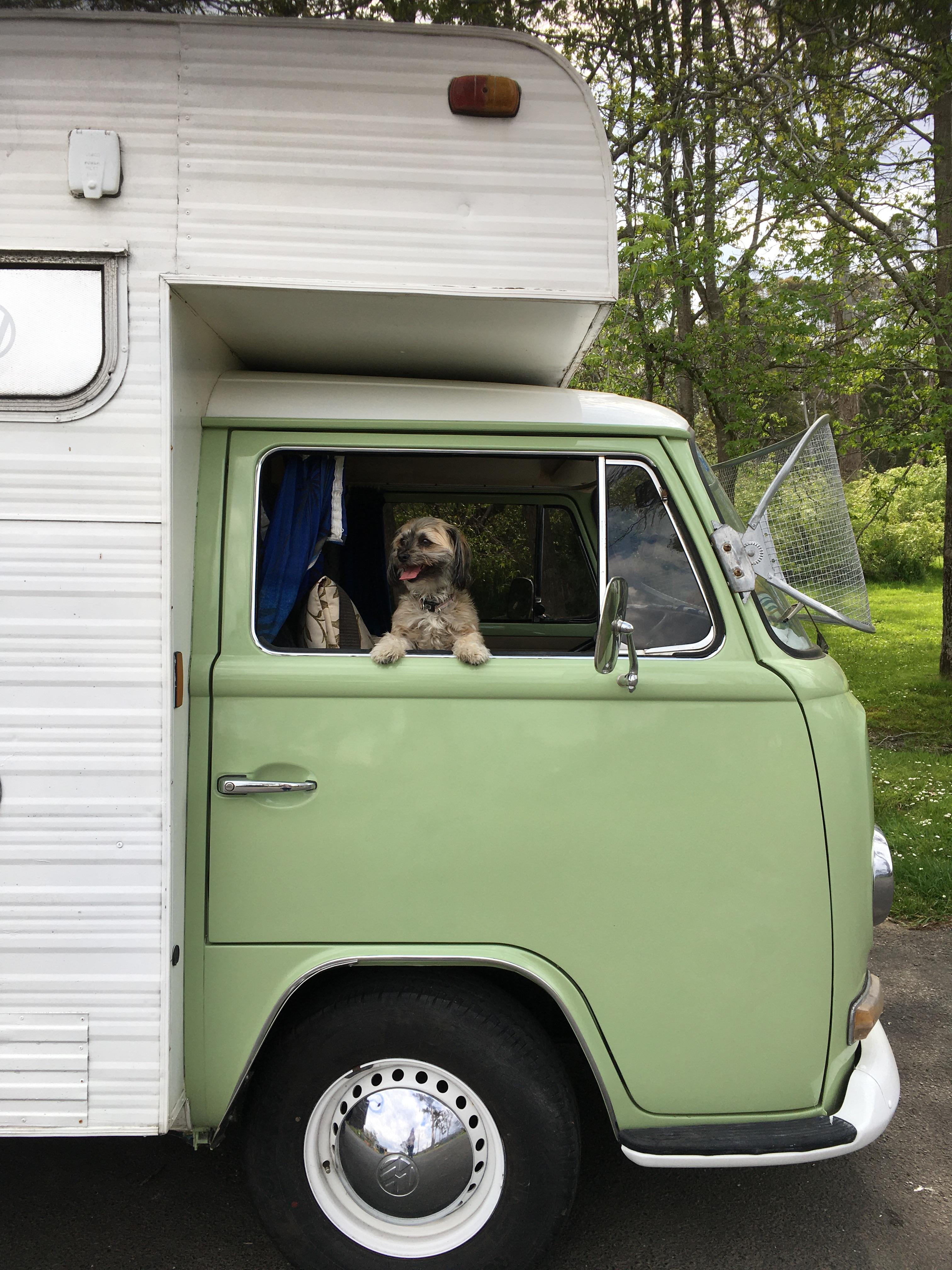 1972 VOLKSWAGEN TRANSPORTER SNAIL CAMPER