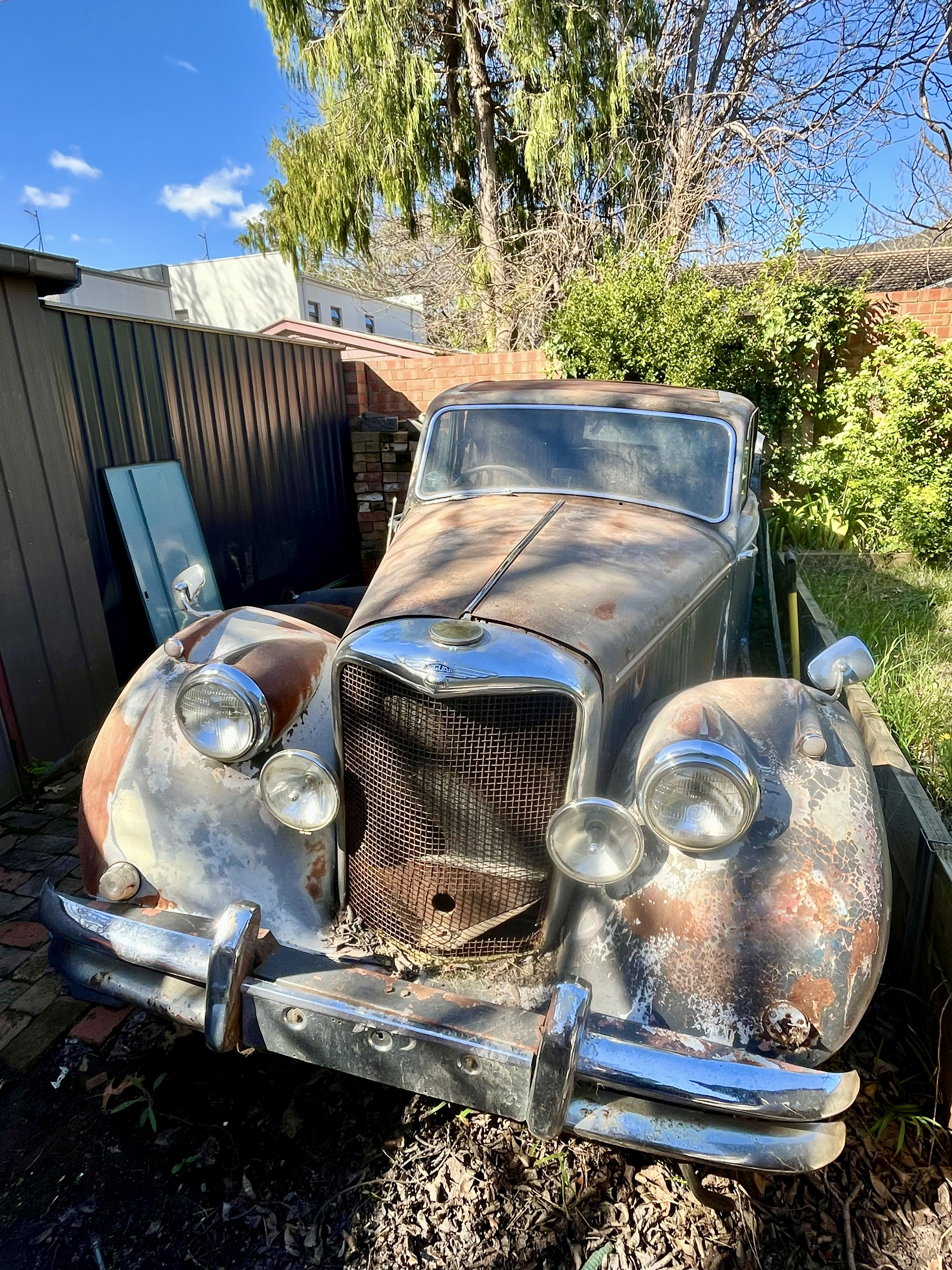 1950 JAGUAR MK V SEDAN