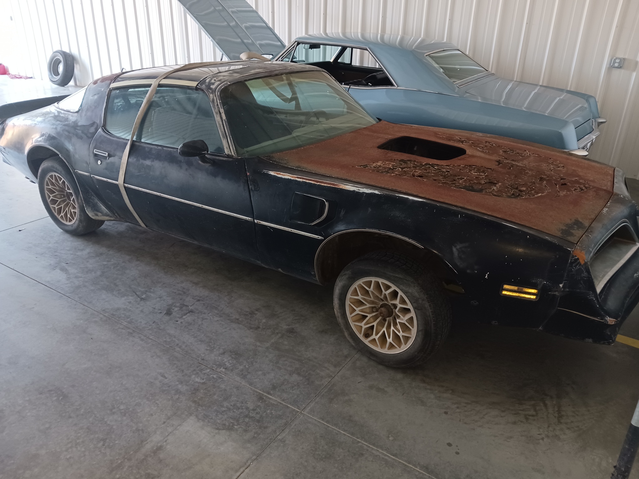 1978 PONTIAC TRANSAM BANDIT SPECIAL EDITION COUPE