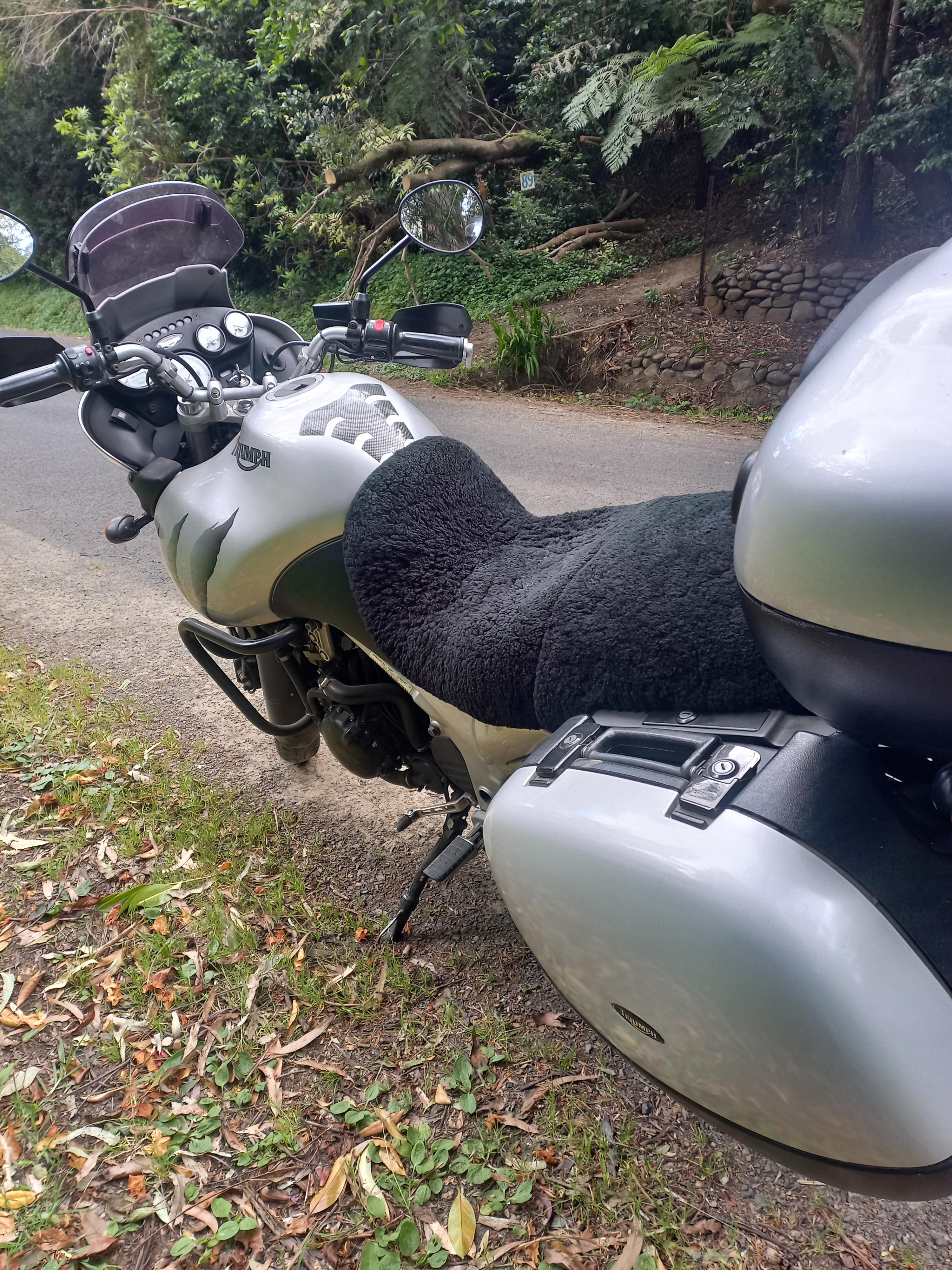 2005 TRIUMPH TIGER 955i SPORTS