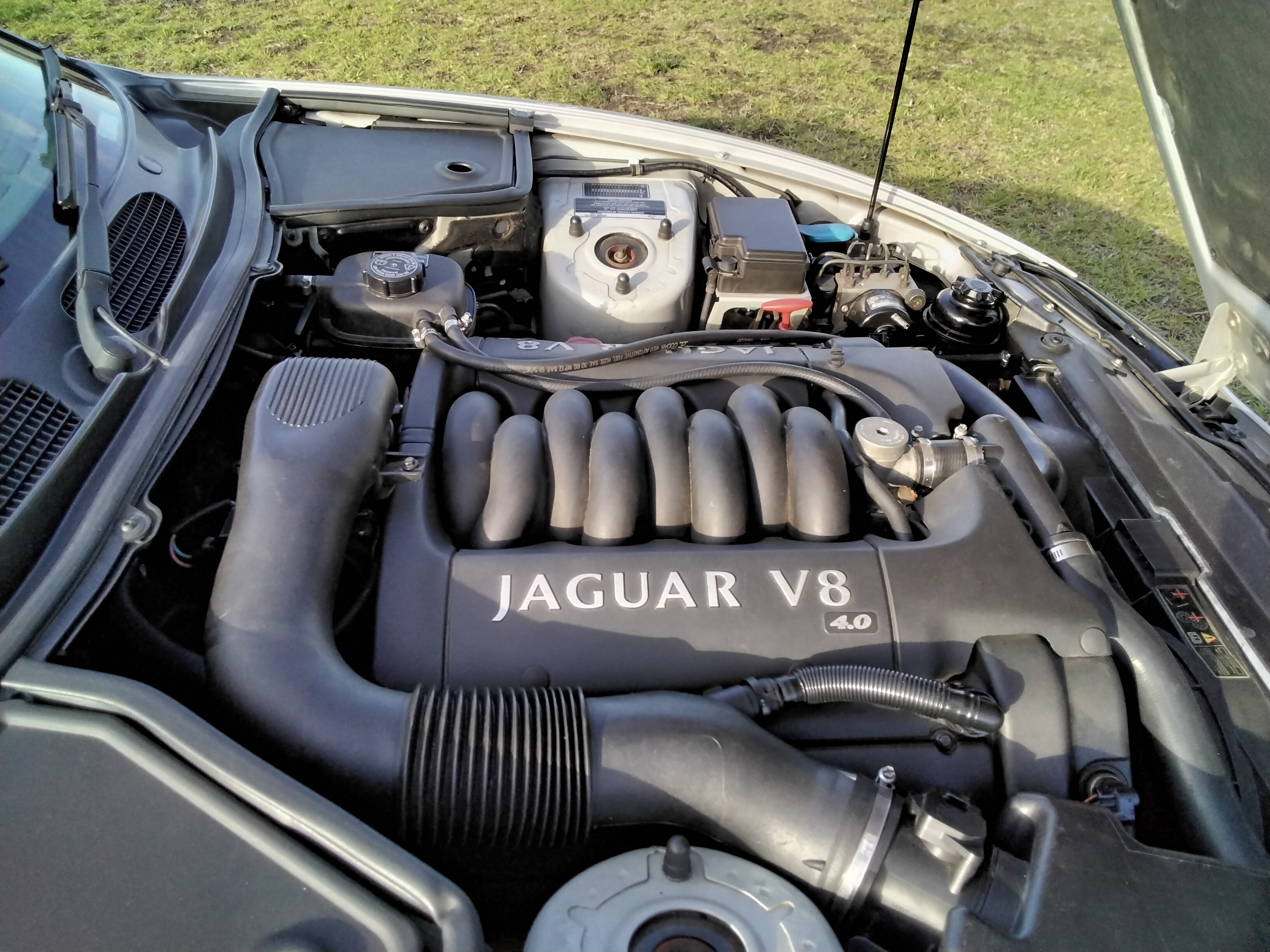 2000 JAGUAR XK8 MY01 CLASSIC 5 SP AUTOMATIC 2D COUPE