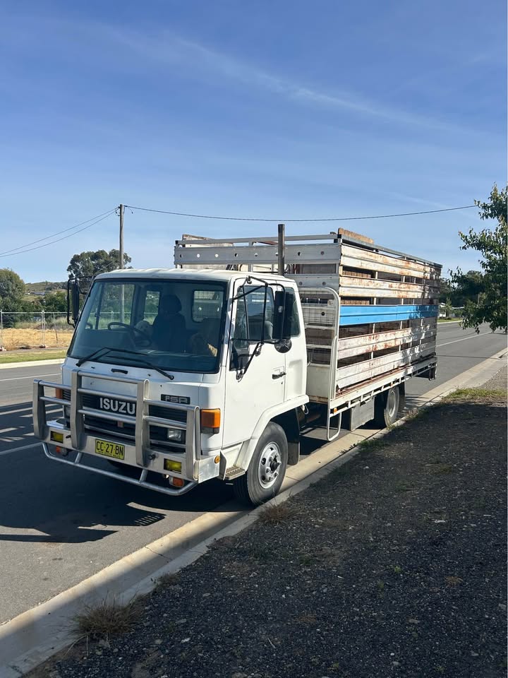1988 ISUZU FSR 12 TRAY TRUCK 