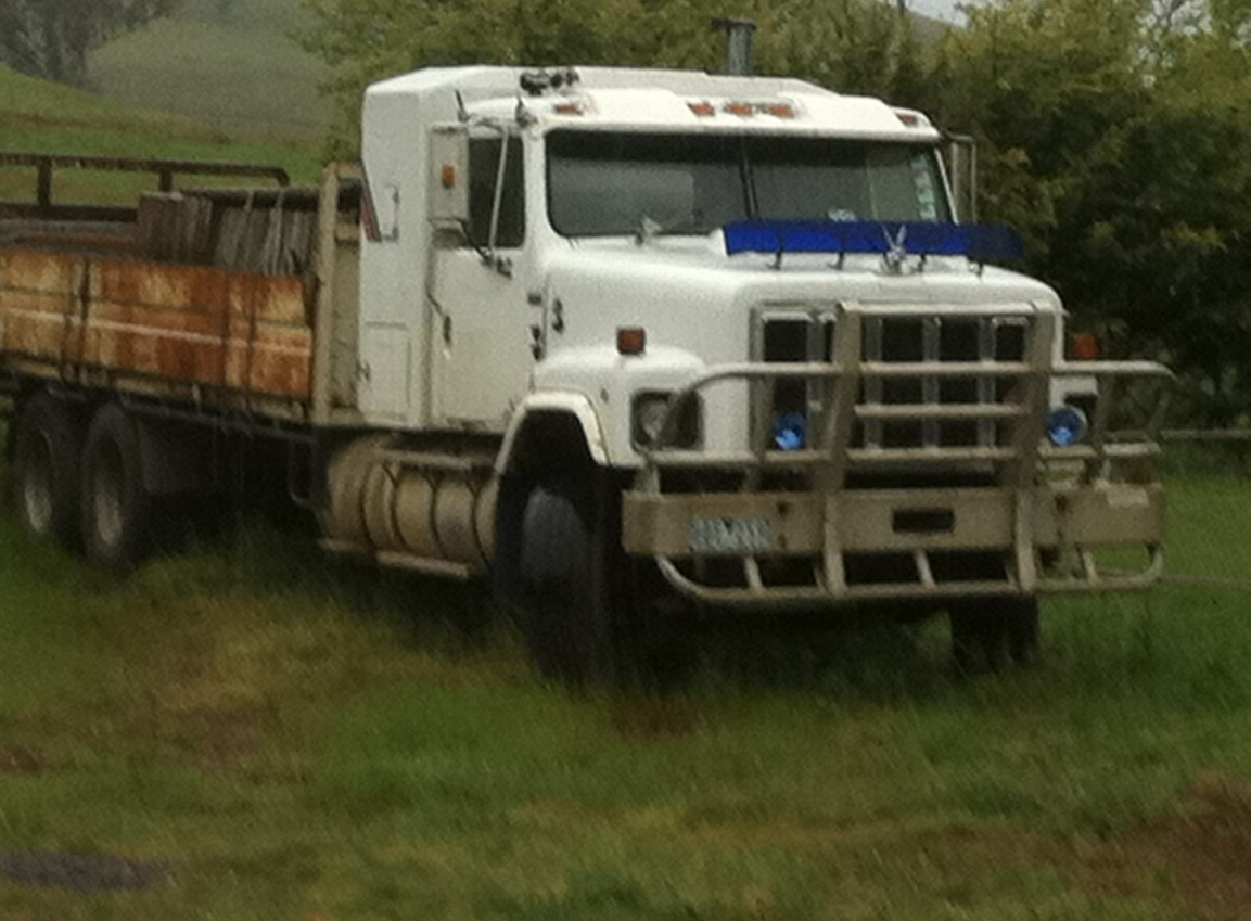 1988 INTERNATIONAL S LINE TRUCK