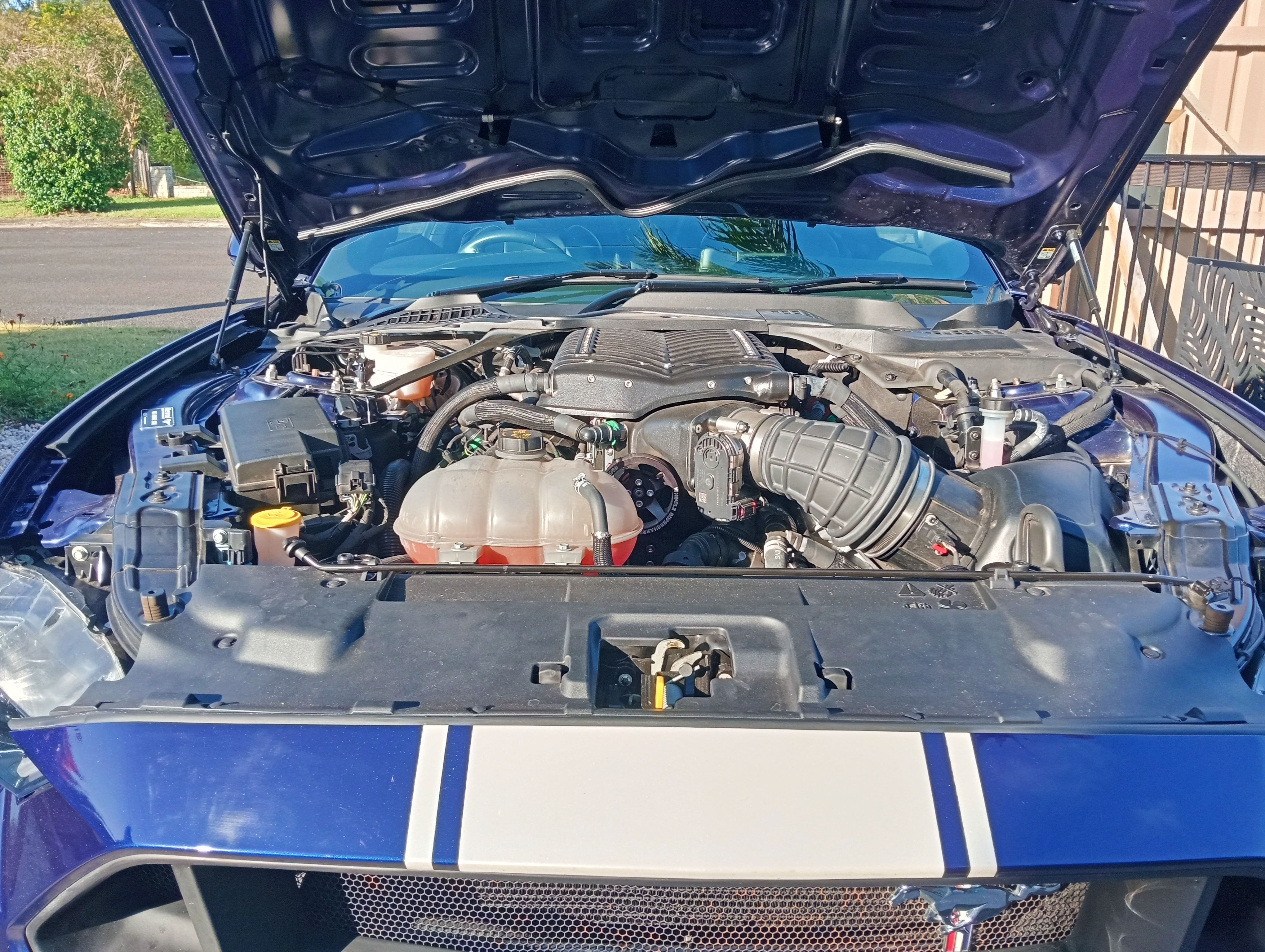 2019 FORD MUSTANG GT 10 SP AUTOMATIC COUPE