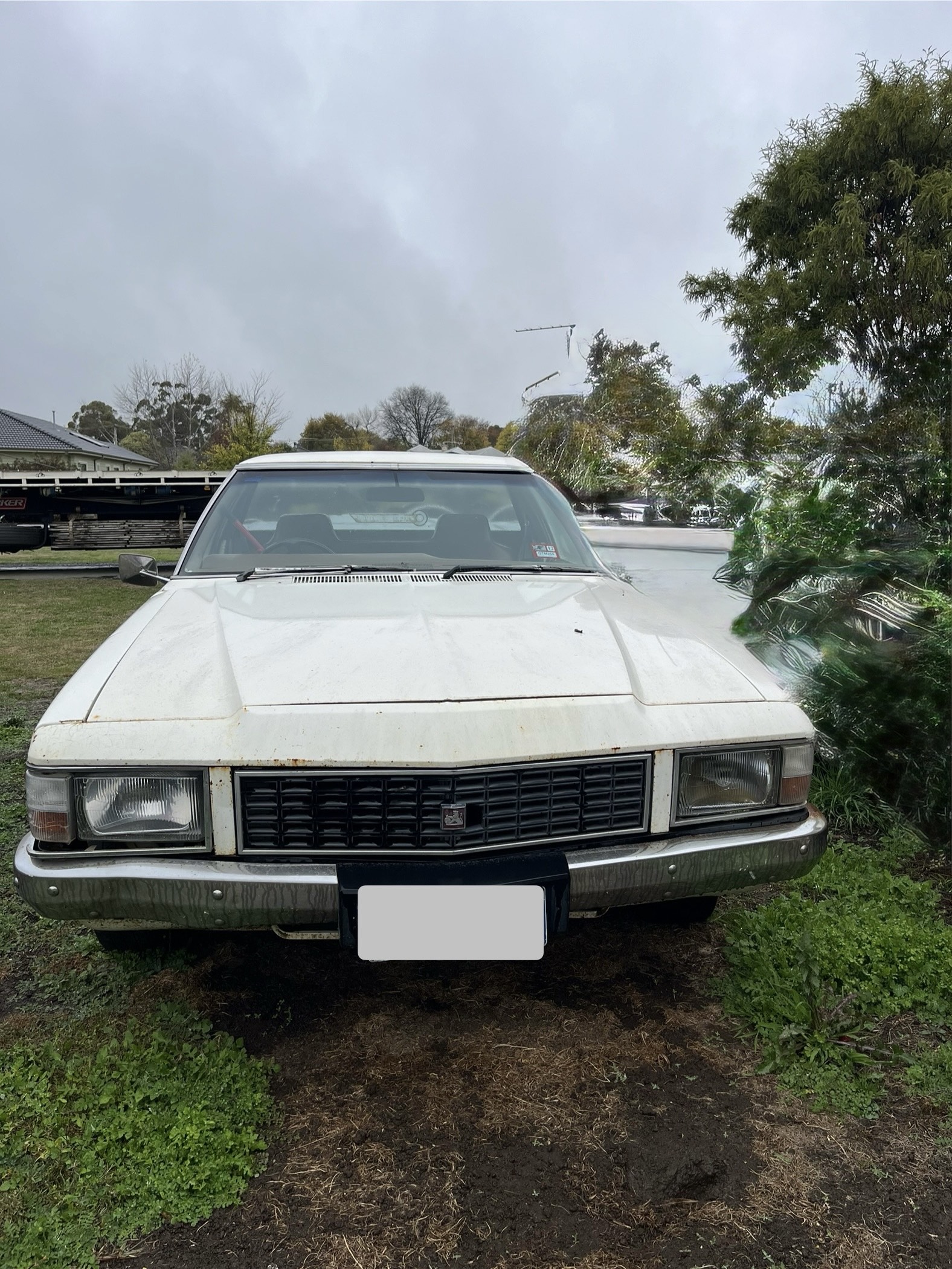 1983 HOLDEN WB UTE 