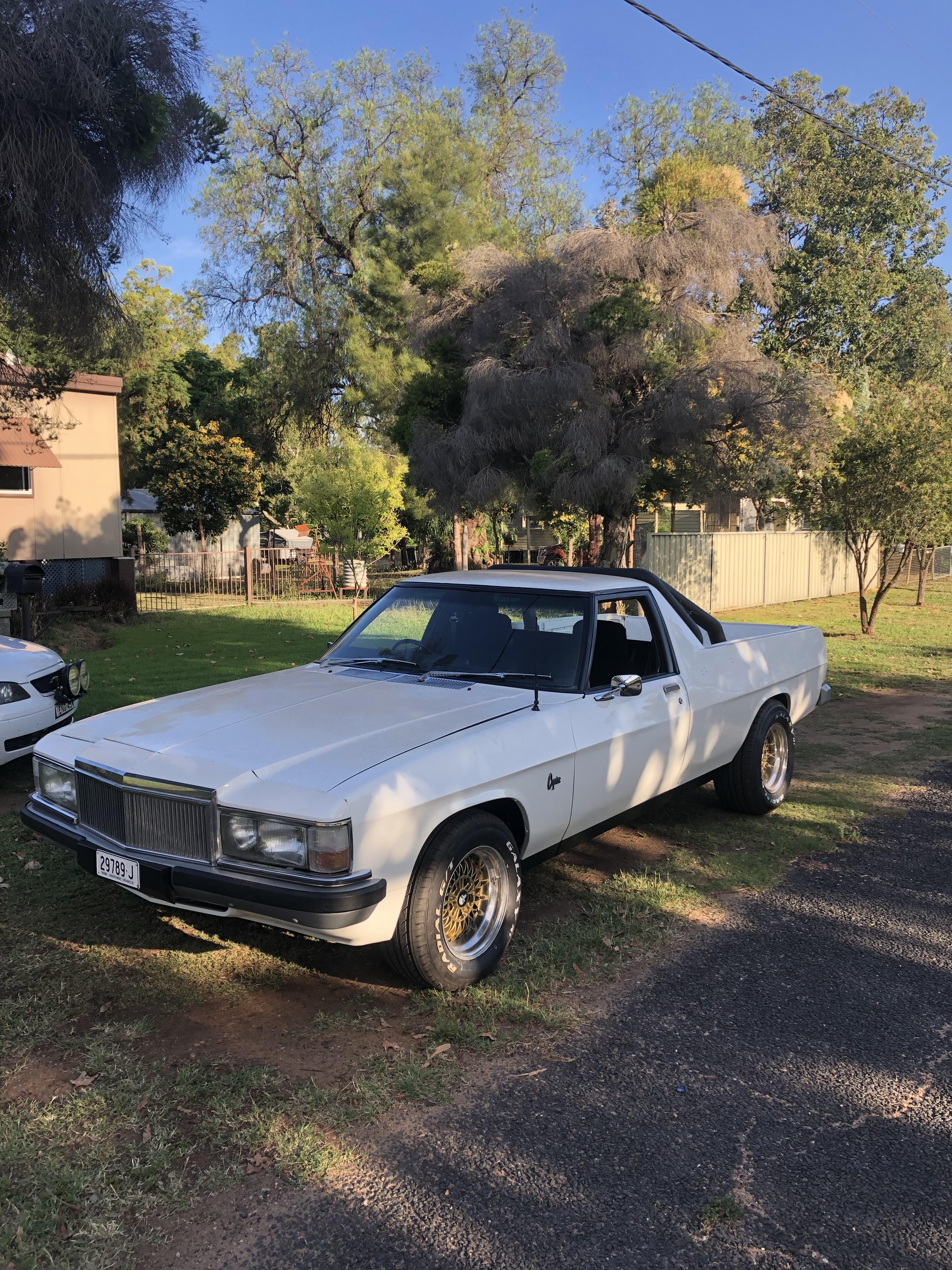 1982 HOLDEN HOLDEN WB 3 SP MANUAL UTILITY