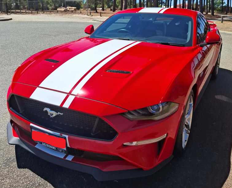 2019 FORD MUSTANG GT MANUAL FASTBACK