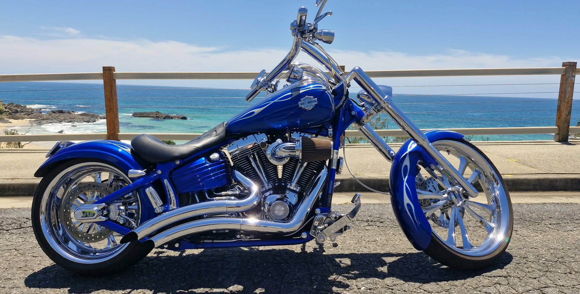 2009 HARLEY-DAVIDSON SOFTAIL CRUISER