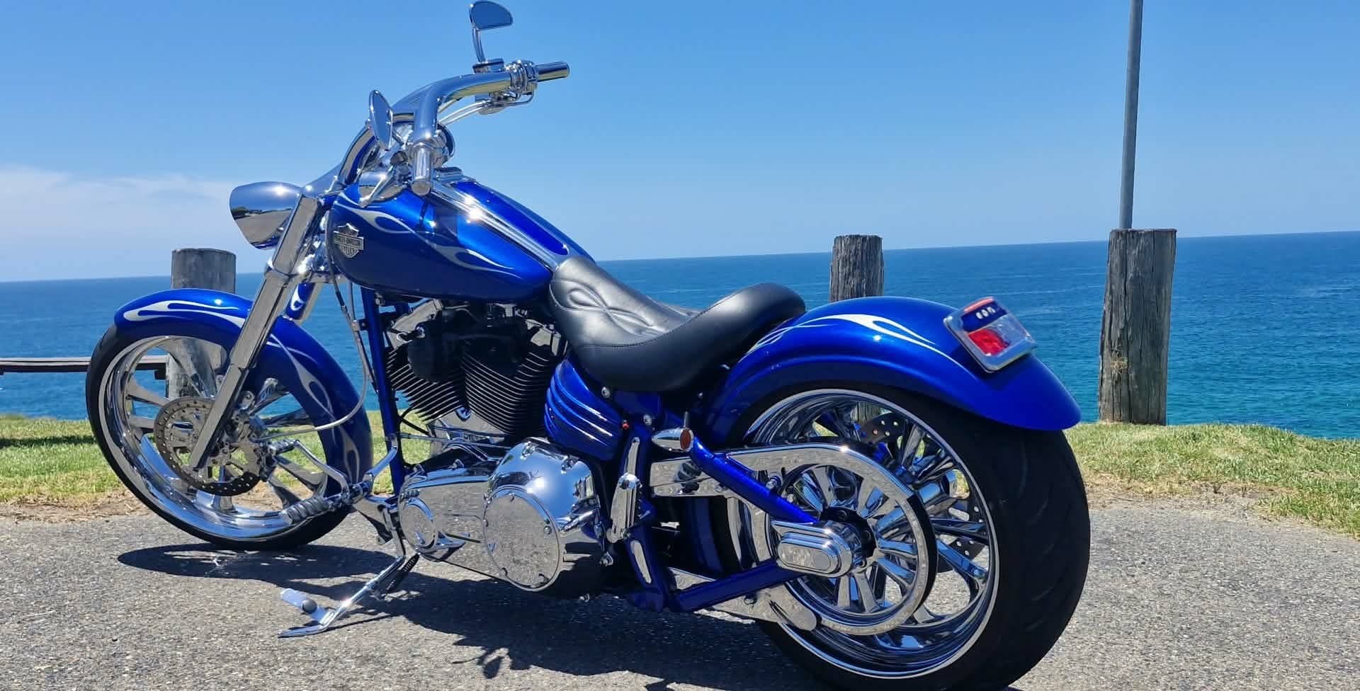 2009 HARLEY-DAVIDSON SOFTAIL CRUISER