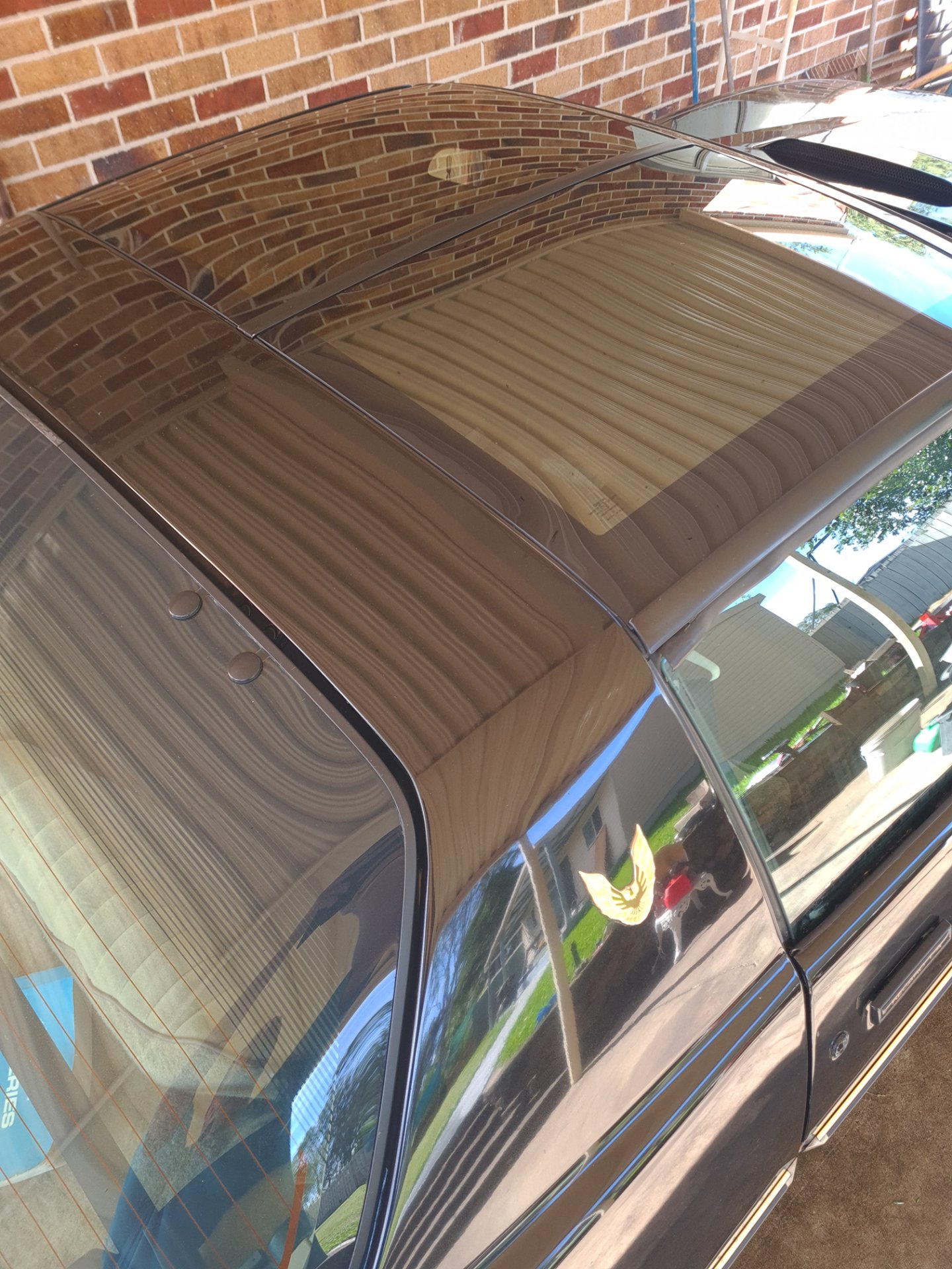 1984 PONTIAC FIREBIRD TRANS AM RECARO LIMITED EDITION COUPE