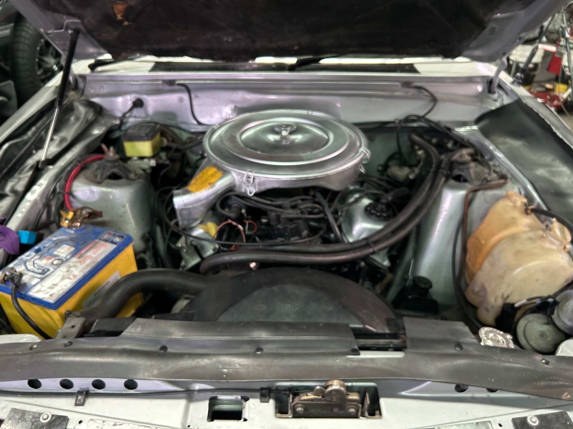 1981 FORD FAIRMONT XD GHIA 4 SP MANUAL 4D SEDAN
