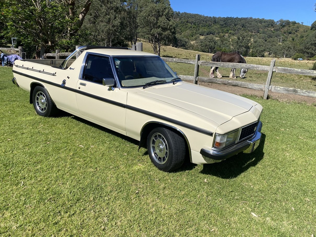 1981 HOLDEN KINGSWOOD WB UTILITY