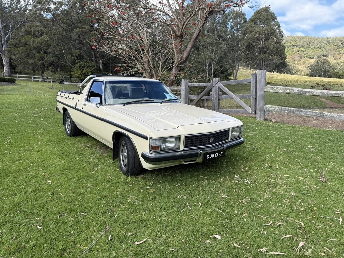 1981 HOLDEN KINGSWOOD WB UTILITY