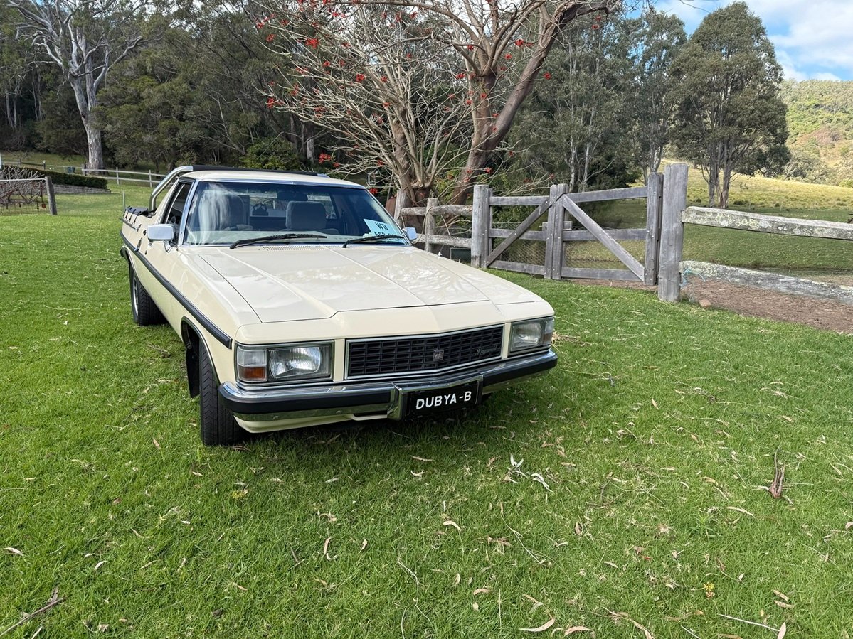 1981 HOLDEN KINGSWOOD WB UTILITY