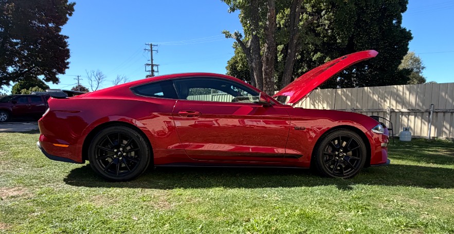 2019 FORD MUSTANG FN FASTBACK GT 5.0 V8 6 SP MANUAL SEDAN