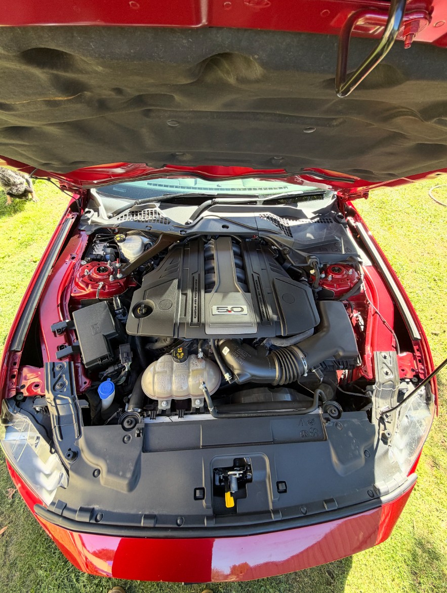 2019 FORD MUSTANG FN FASTBACK GT 5.0 V8 6 SP MANUAL SEDAN