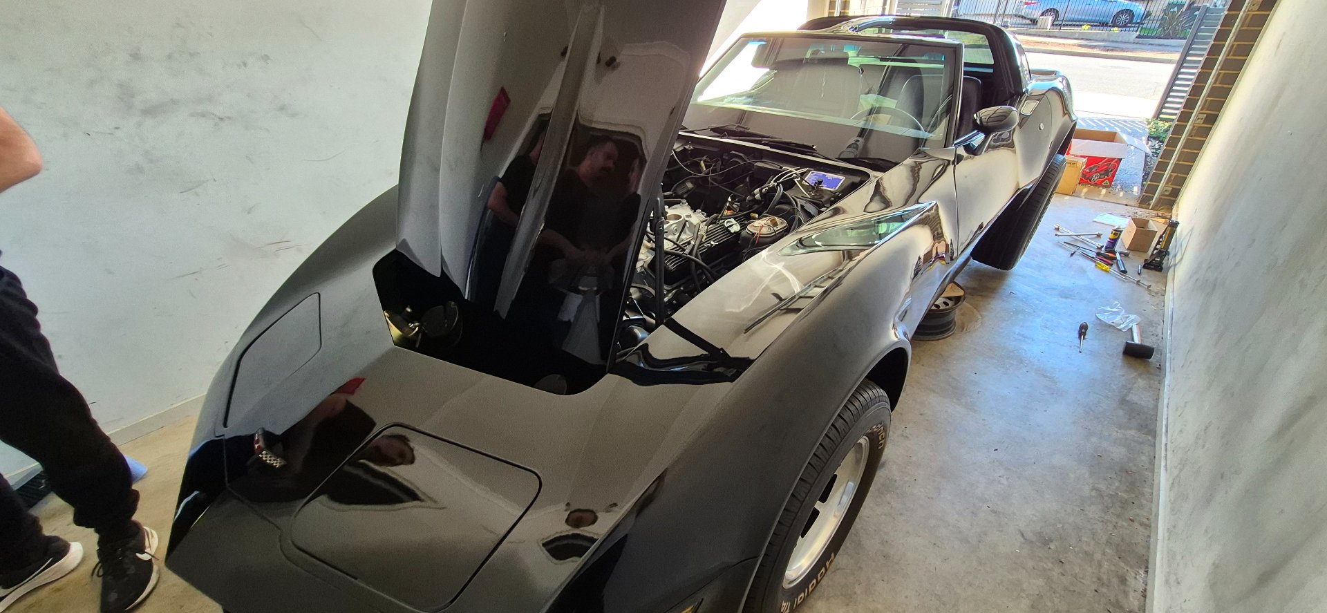 1981 CHEVROLET CORVETTE C3 COUPE 