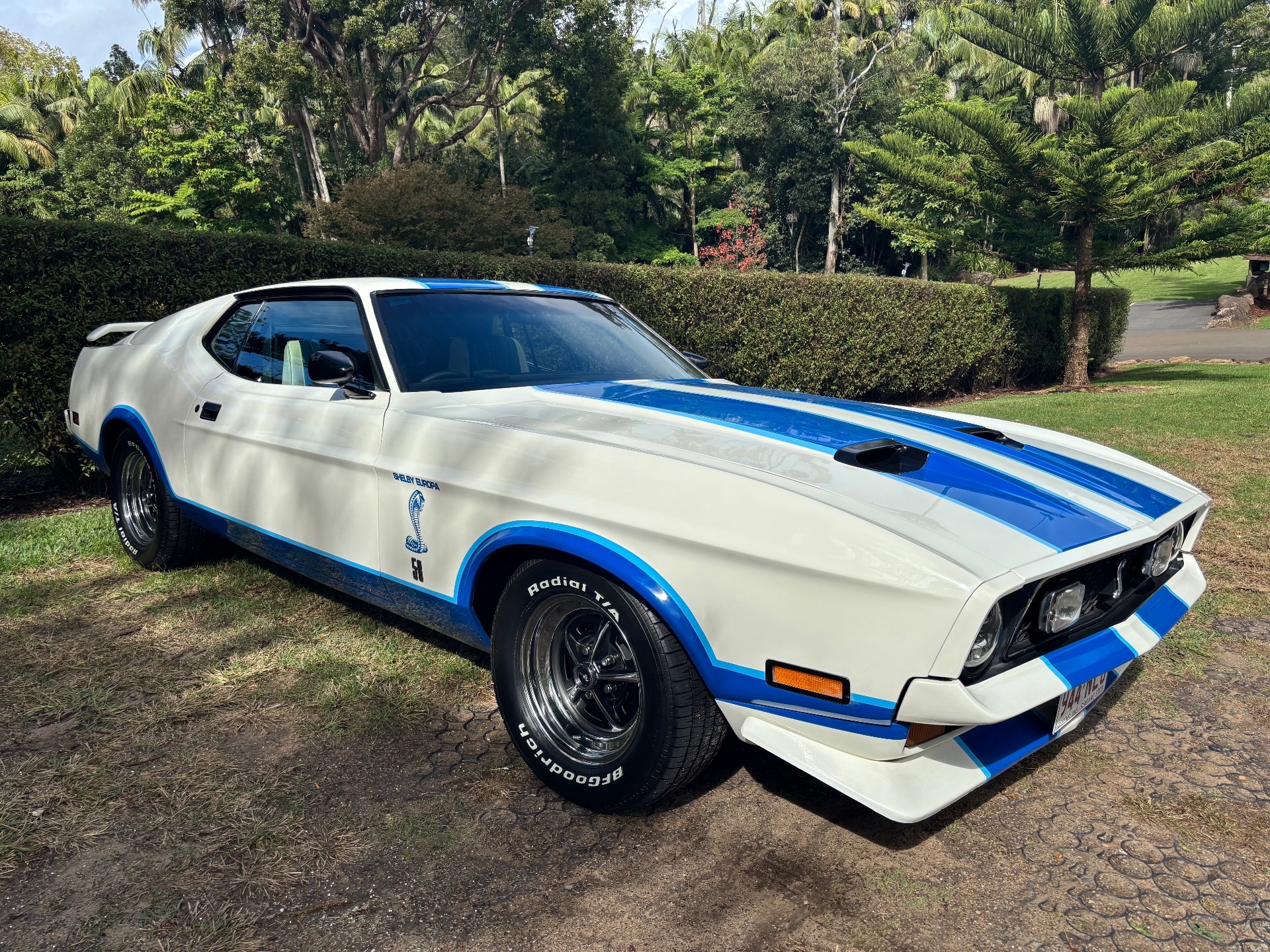 1971 FORD MUSTANG MACH 1 SHELBY EUROPA TRIBUTE FASTBACK