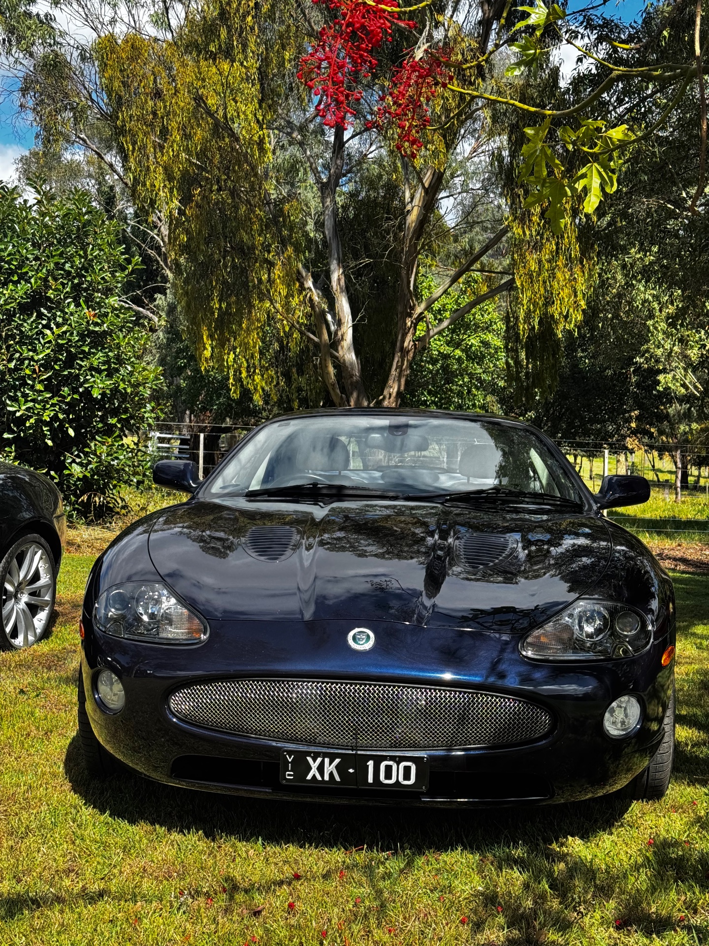 2005 JAGUAR XKR 4.2 6 SP AUTOMATIC 2D COUPE