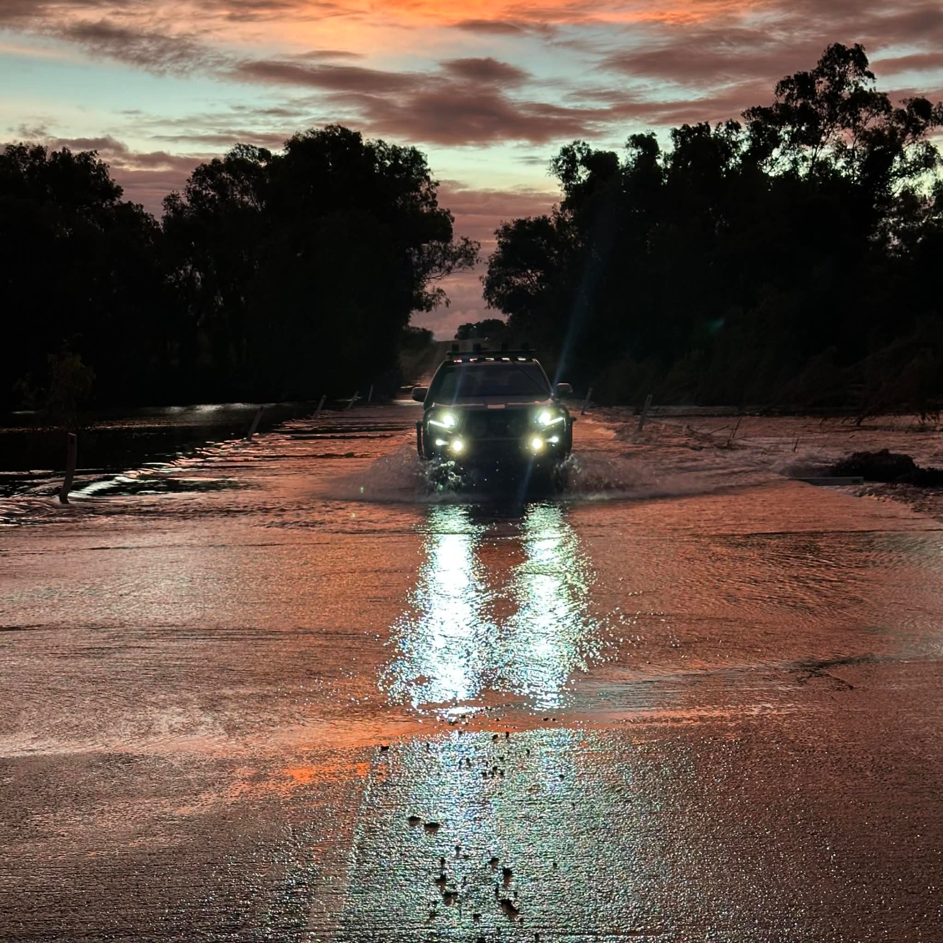 2019 TOYOTA LANDCRUISER KAKADU PRADO GXL (4x4) 4D WAGON