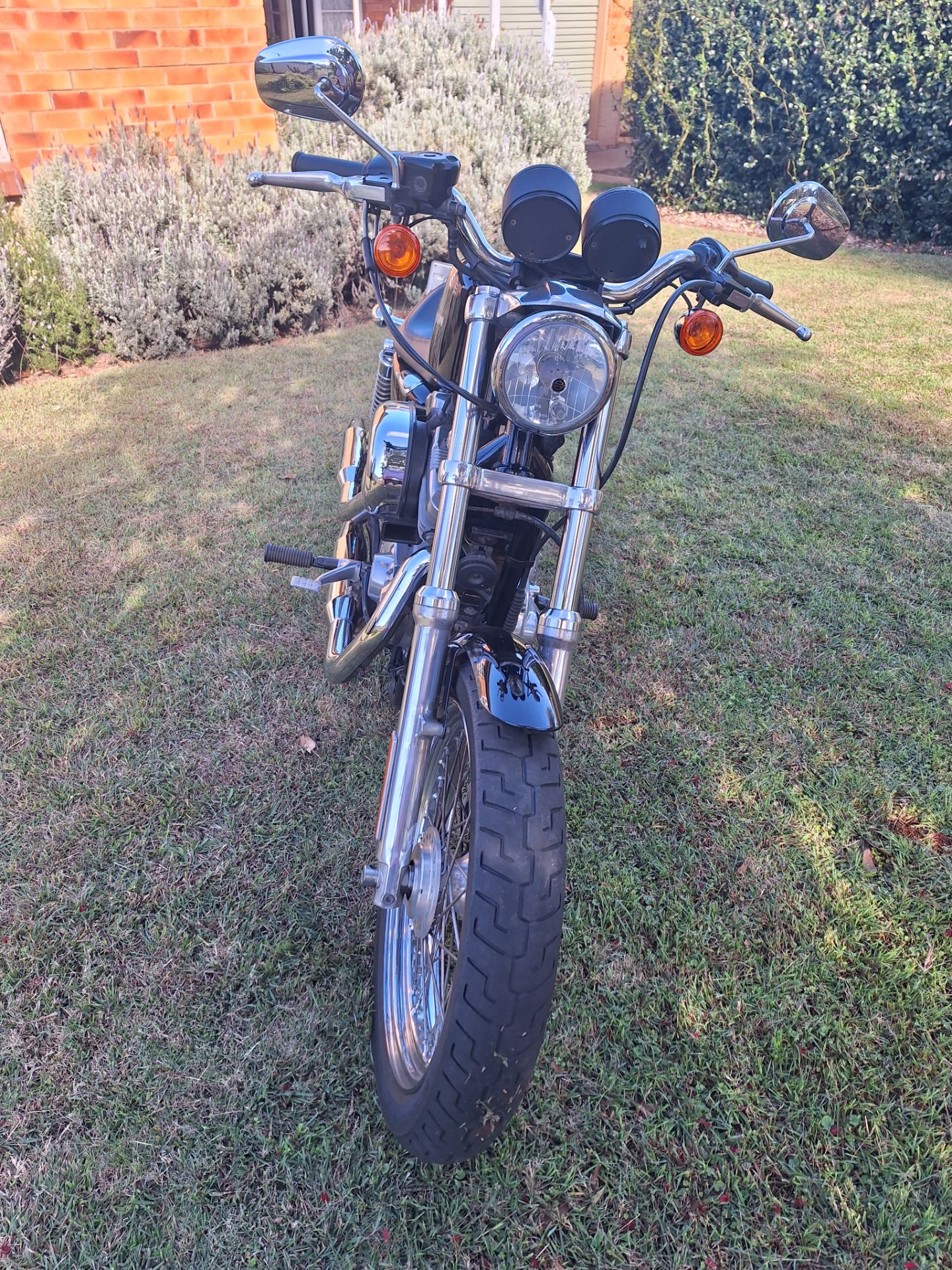 2009 HARLEY-DAVIDSON XL883 SPORTSTER CRUISER