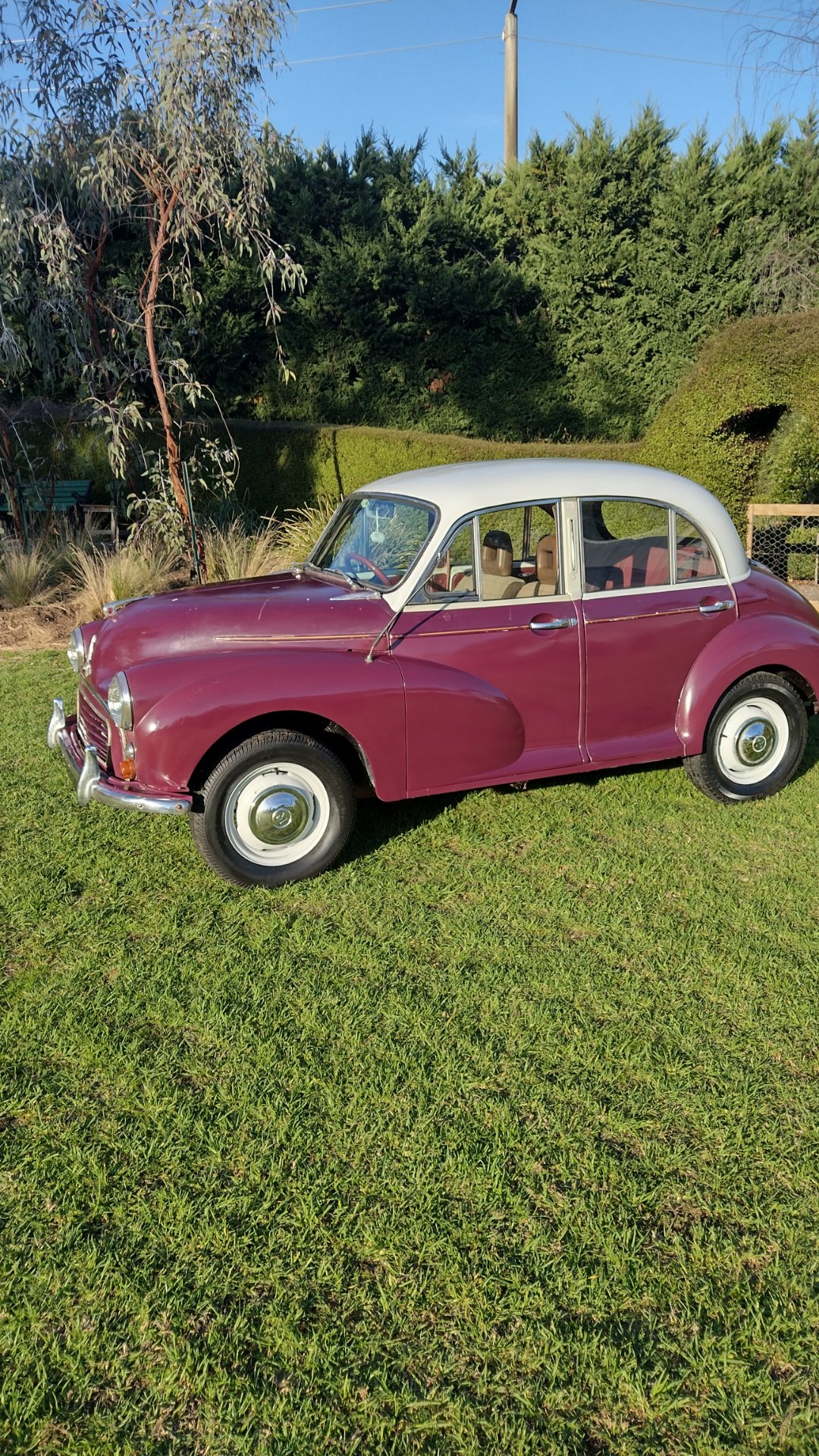 1960 MORRIS MINOR 1000 SEDAN