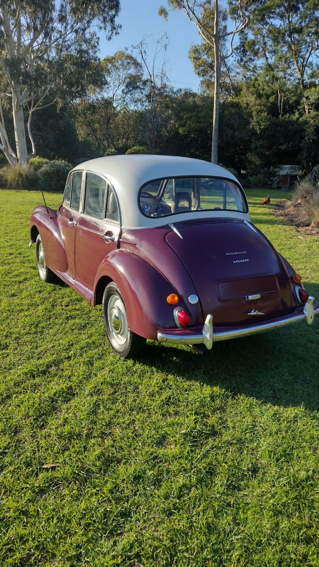 1960 MORRIS MINOR 1000 SEDAN