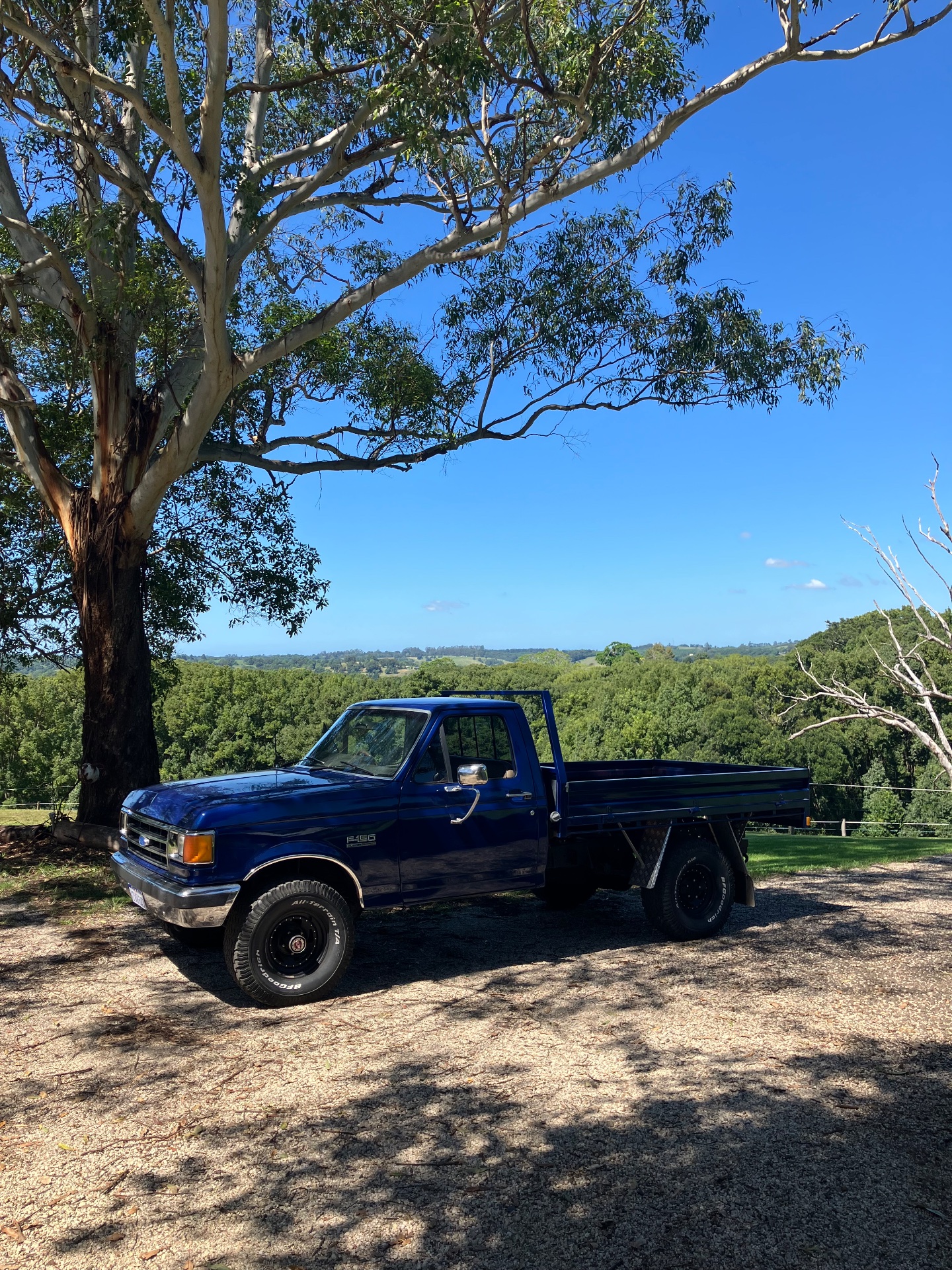 1991 FORD F150 (4x4) 3 SP AUTOMATIC 4X4 UTILITY