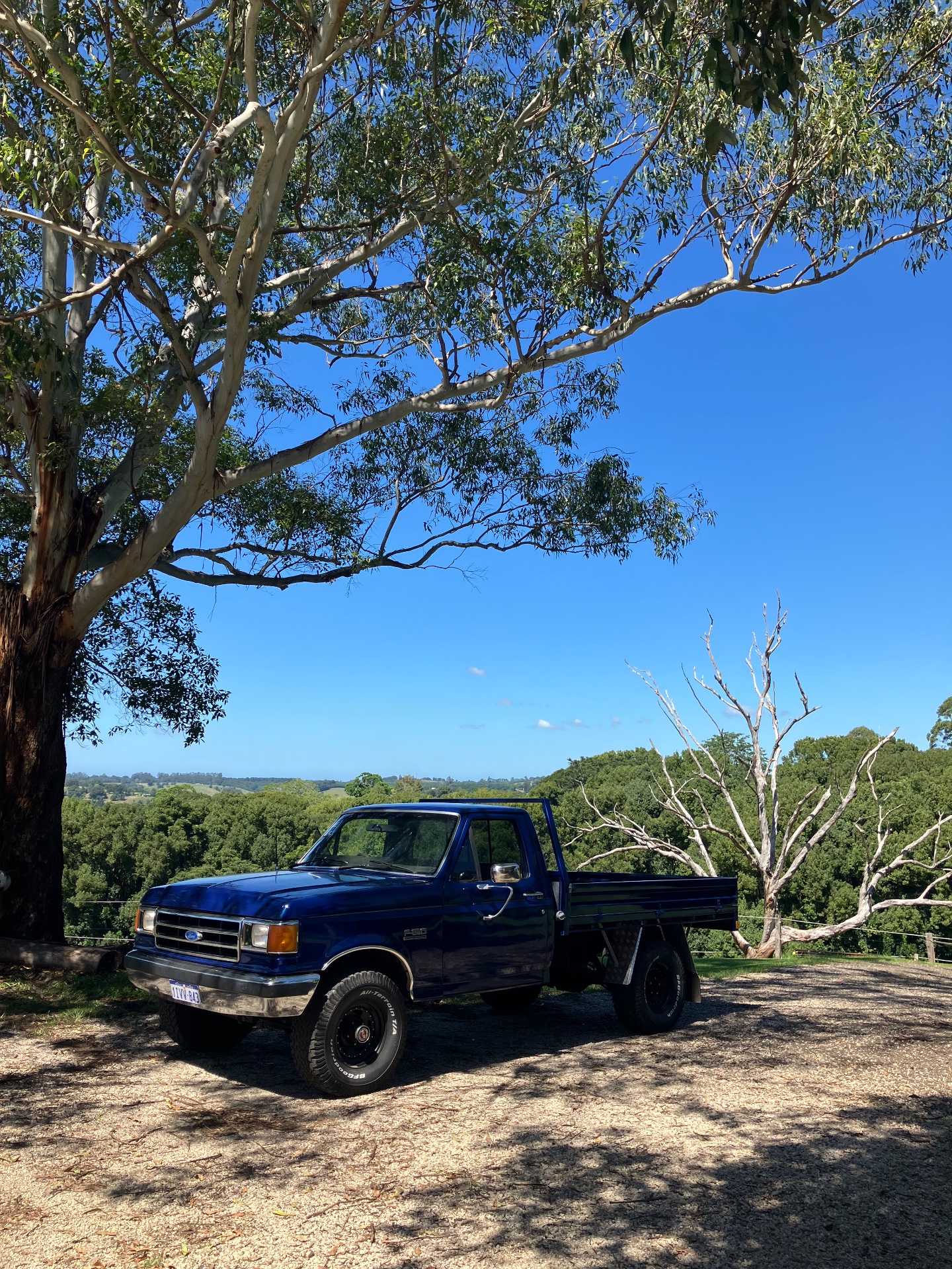 1991 FORD F150 (4x4) 3 SP AUTOMATIC 4X4 UTILITY