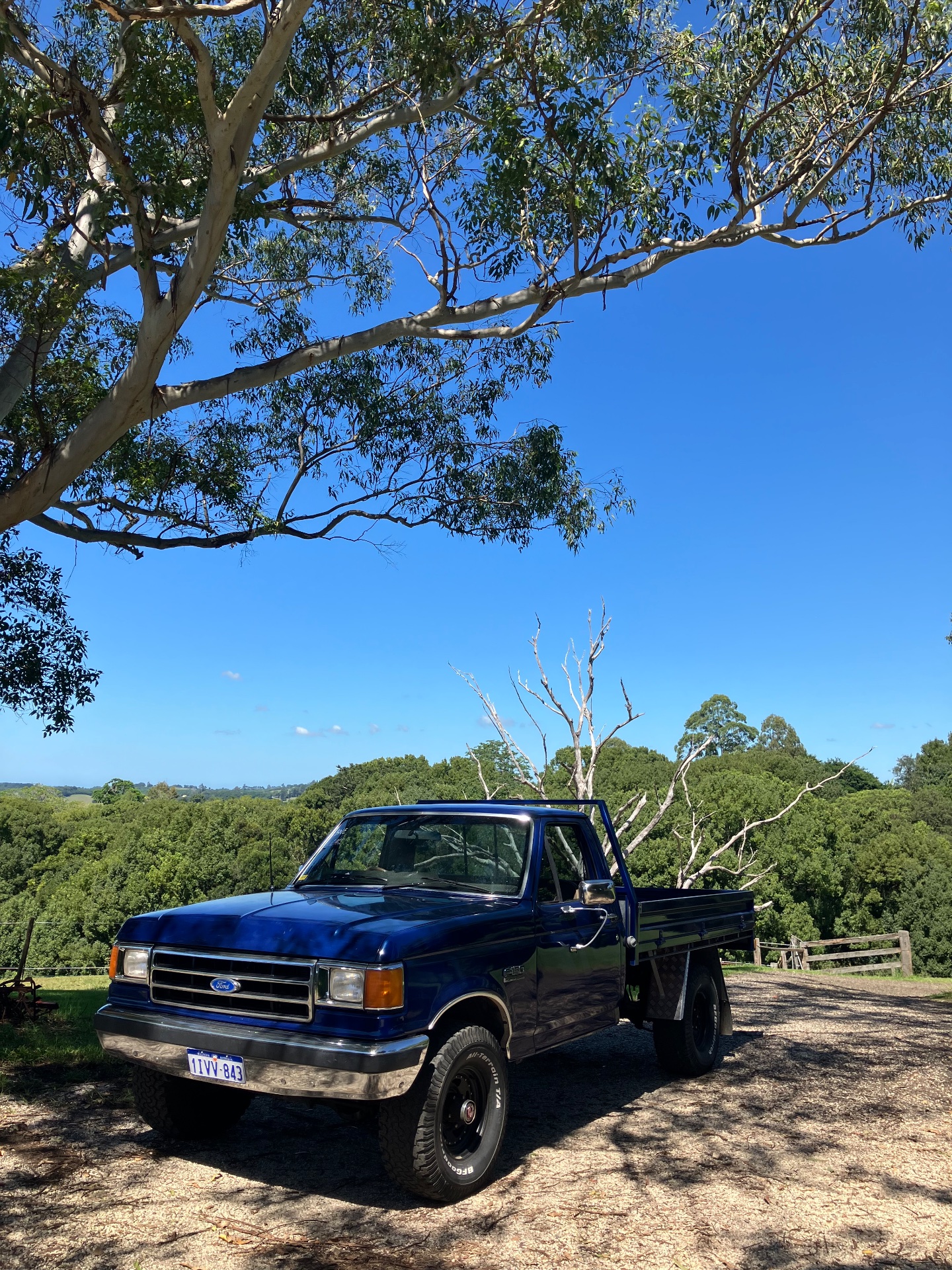 1991 FORD F150 (4x4) 3 SP AUTOMATIC 4X4 UTILITY