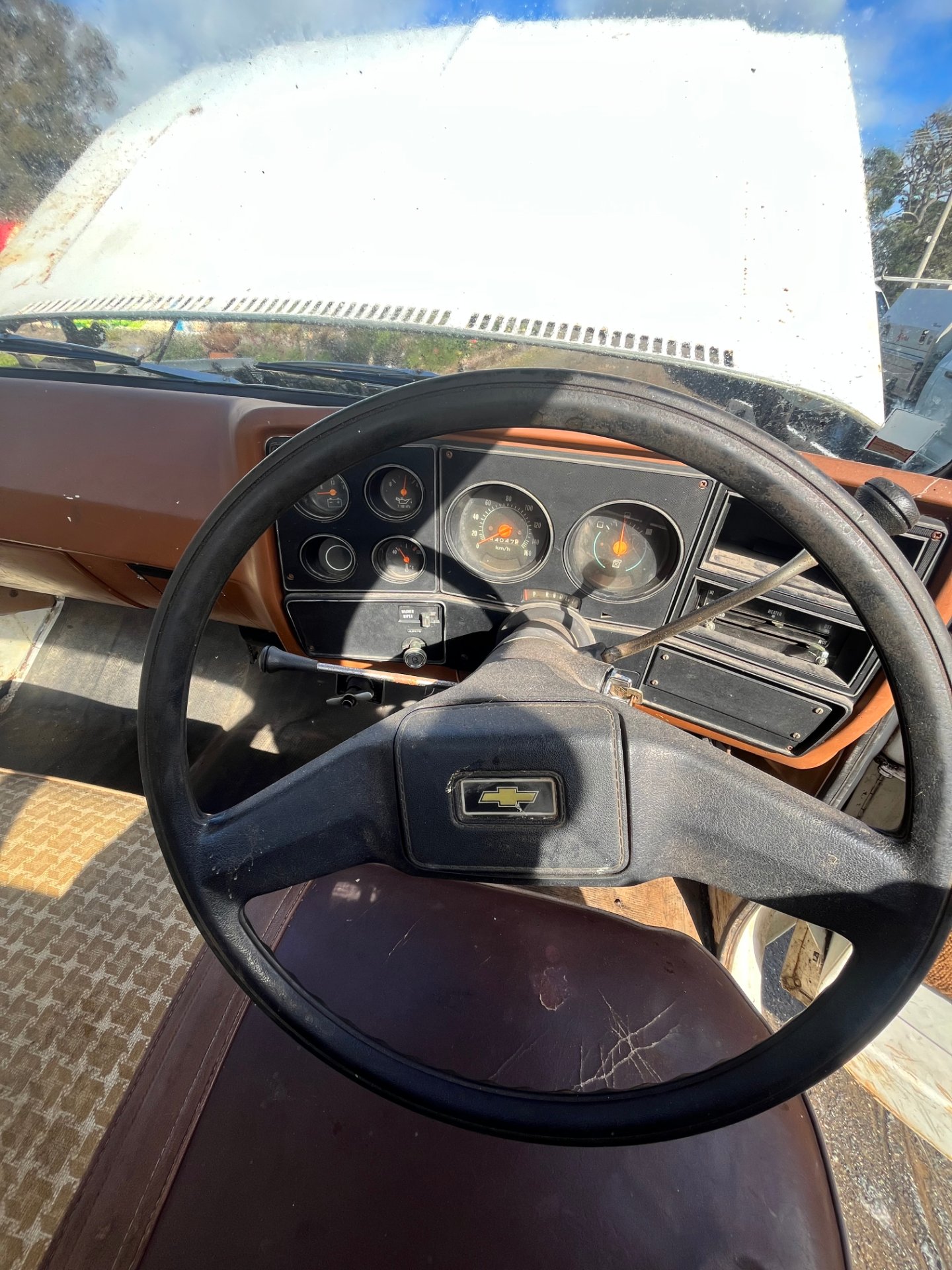 1979 CHEVROLET C10 DELUXE UTILITY PROJECT