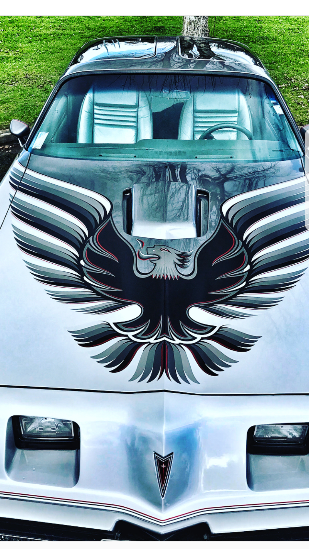 1979 PONTIAC FIREBIRD TRANS AM 4 SP MANUAL 10TH ANN ED COUPE