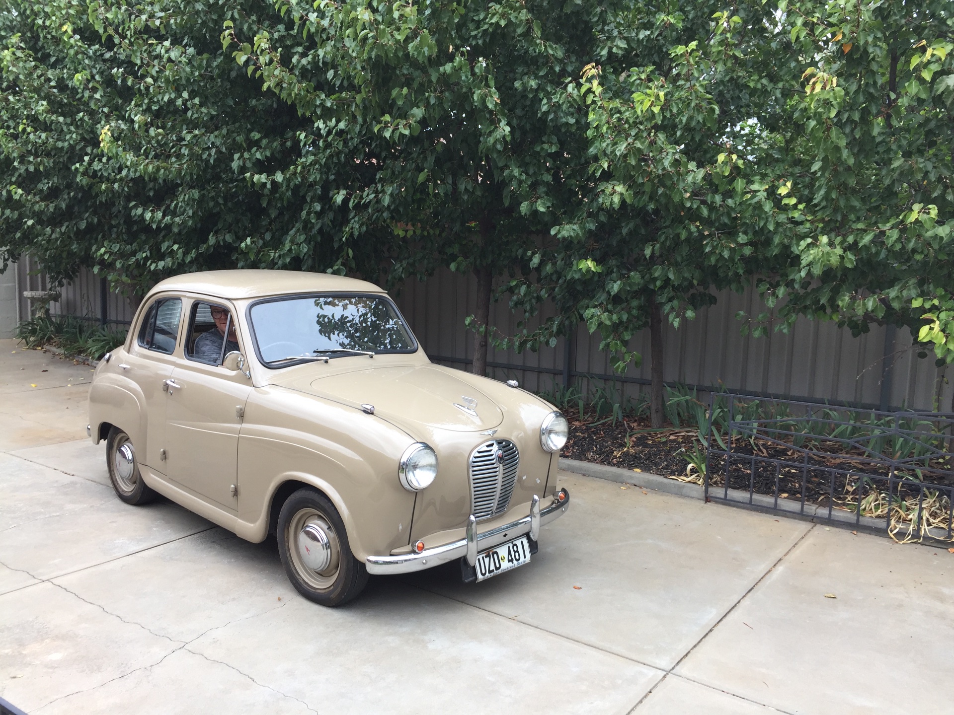 1953 AUSTIN A30 SEDAN