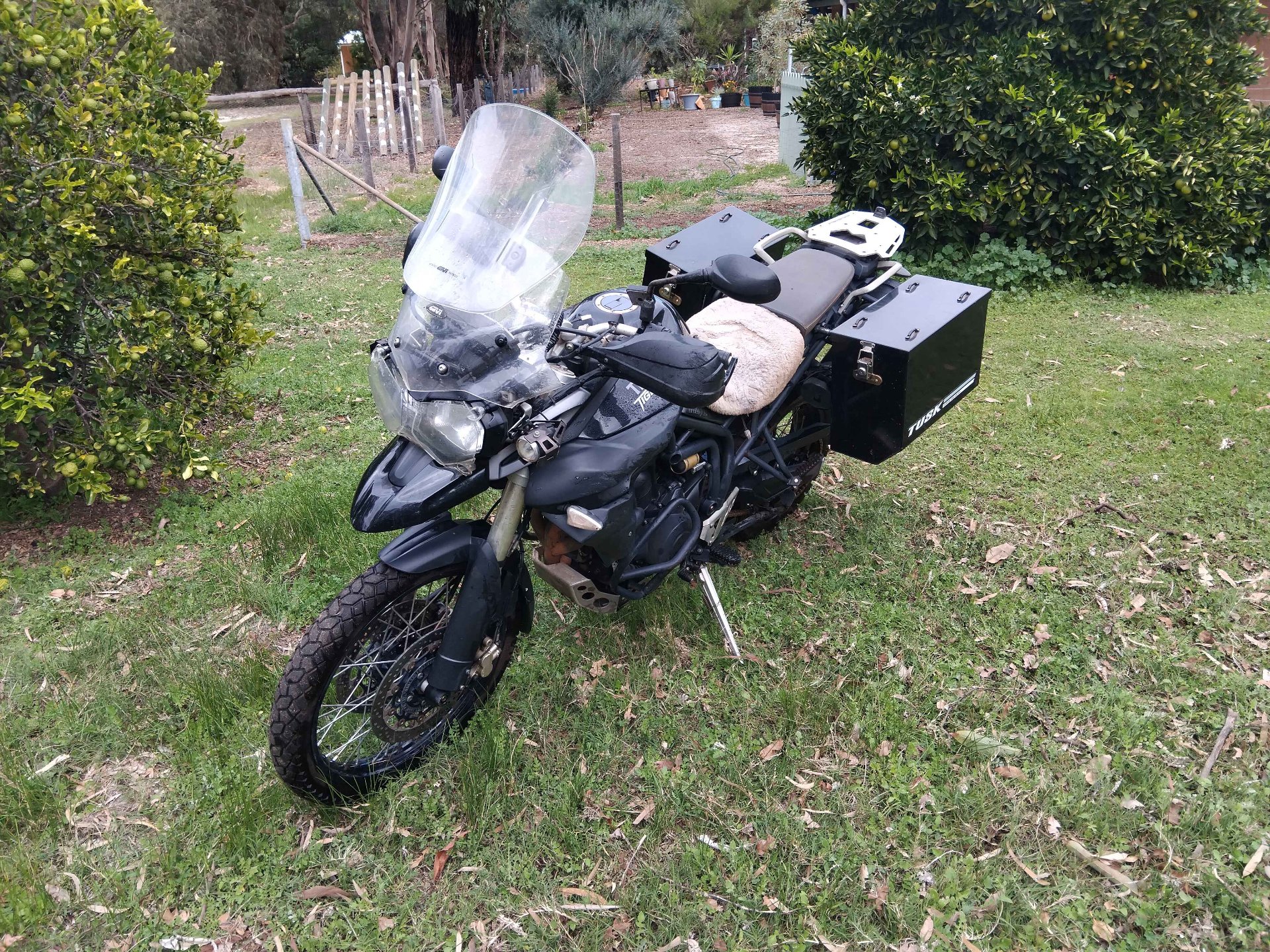 2011 TRIUMPH TIGER 800 XC ABS DUAL SPORTS
