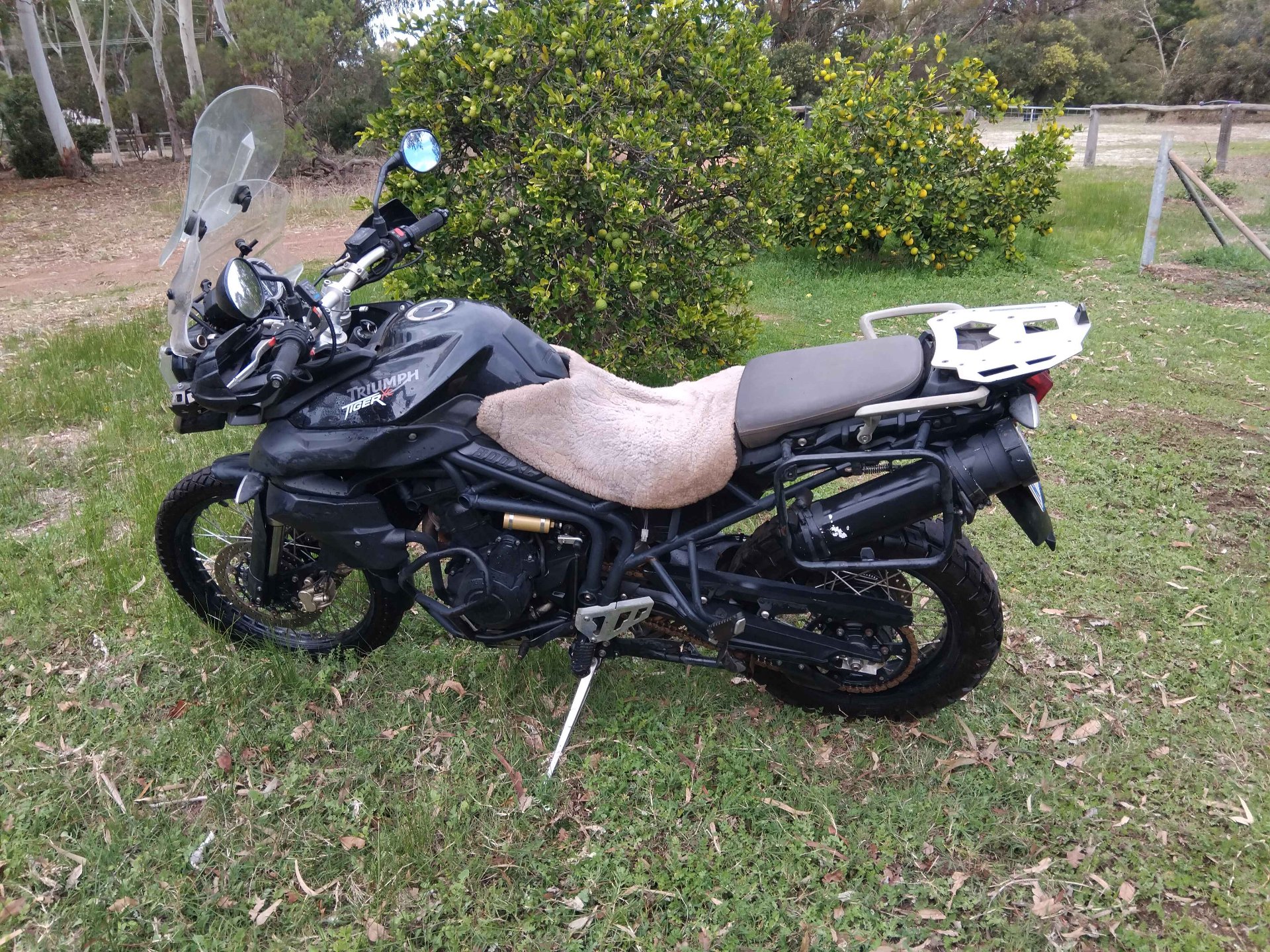 2011 TRIUMPH TIGER 800 XC ABS DUAL SPORTS