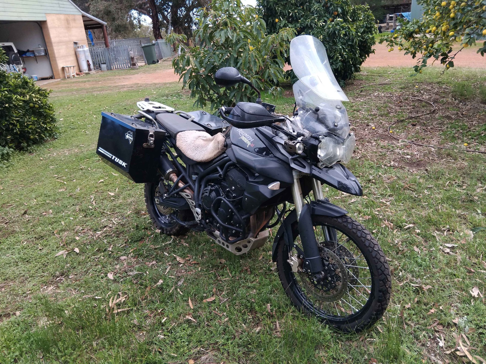 2011 TRIUMPH TIGER 800 XC ABS DUAL SPORTS