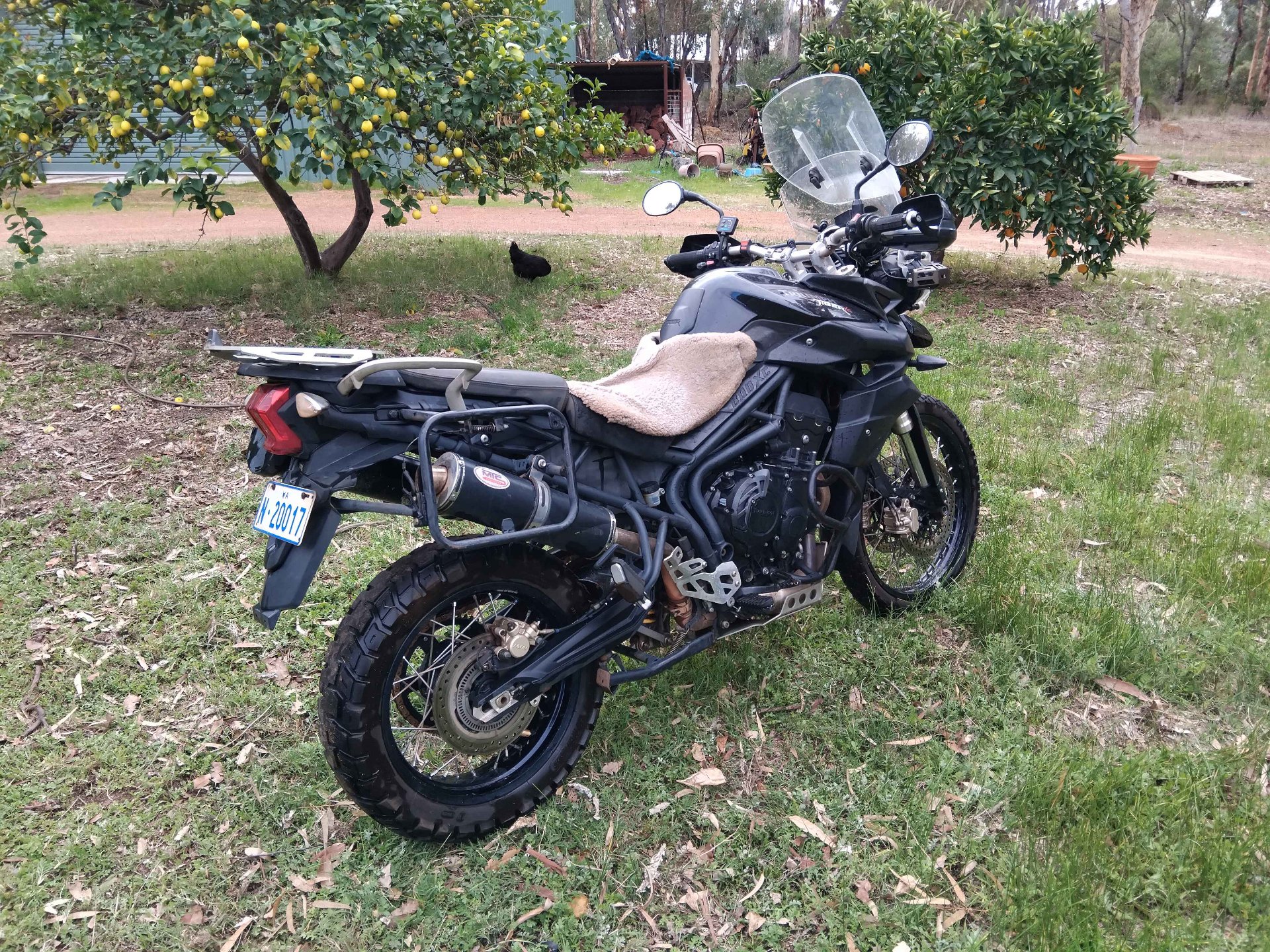 2011 TRIUMPH TIGER 800 XC ABS DUAL SPORTS