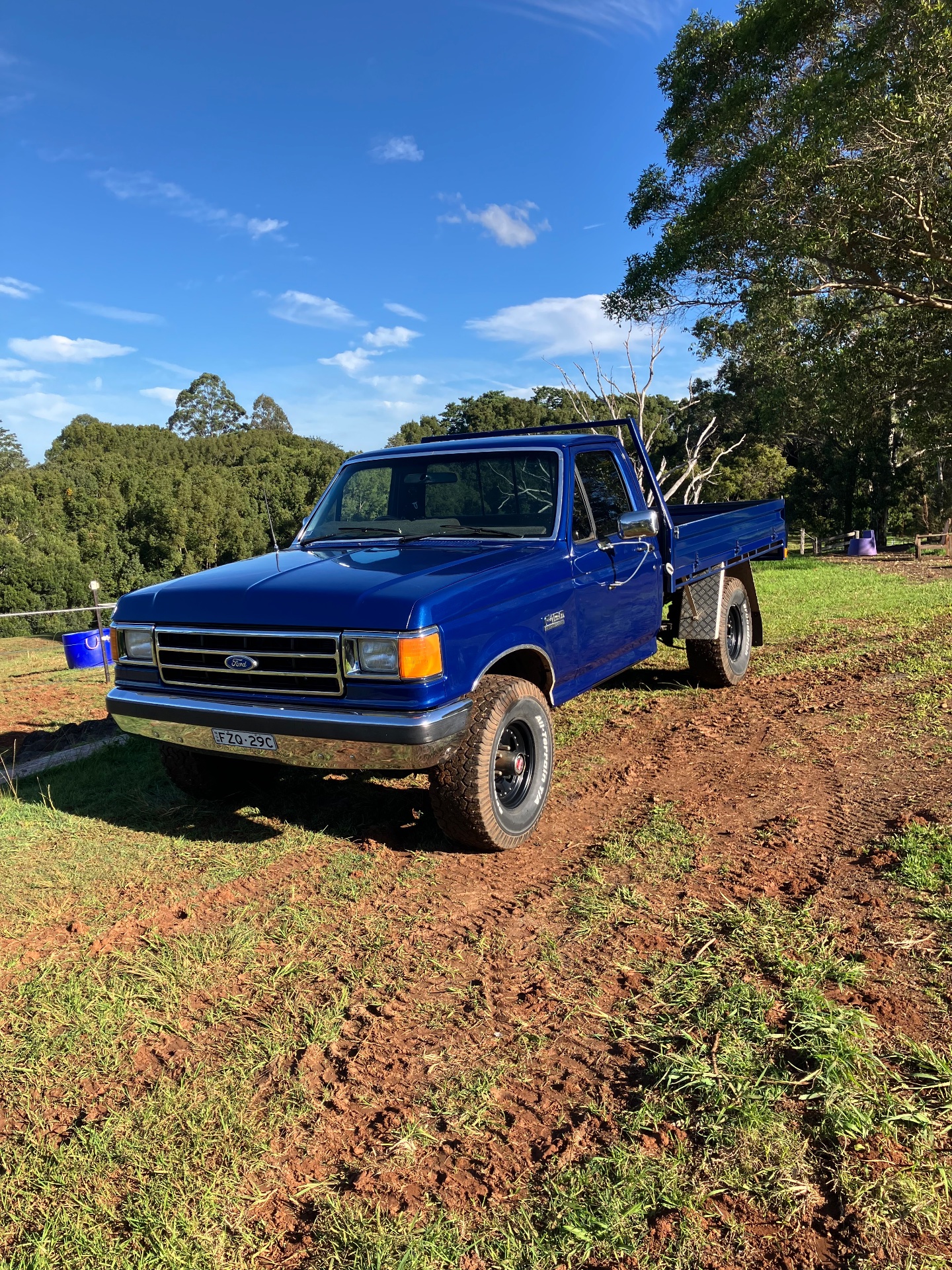 1991 FORD F150 (4x4) 3 SP AUTOMATIC 4X4 UTILITY