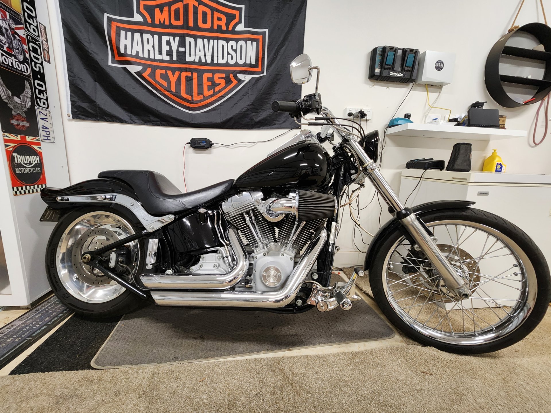 2011 HARLEY-DAVIDSON FXST SOFTAIL STANDARD CRUISER
