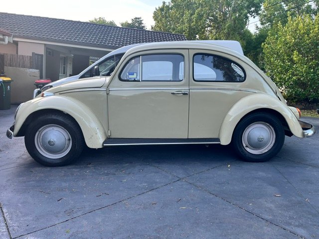 1964 VOLKSWAGEN 1200 (BEETLE) STANDARD 4 SP MANUAL 2D SEDAN