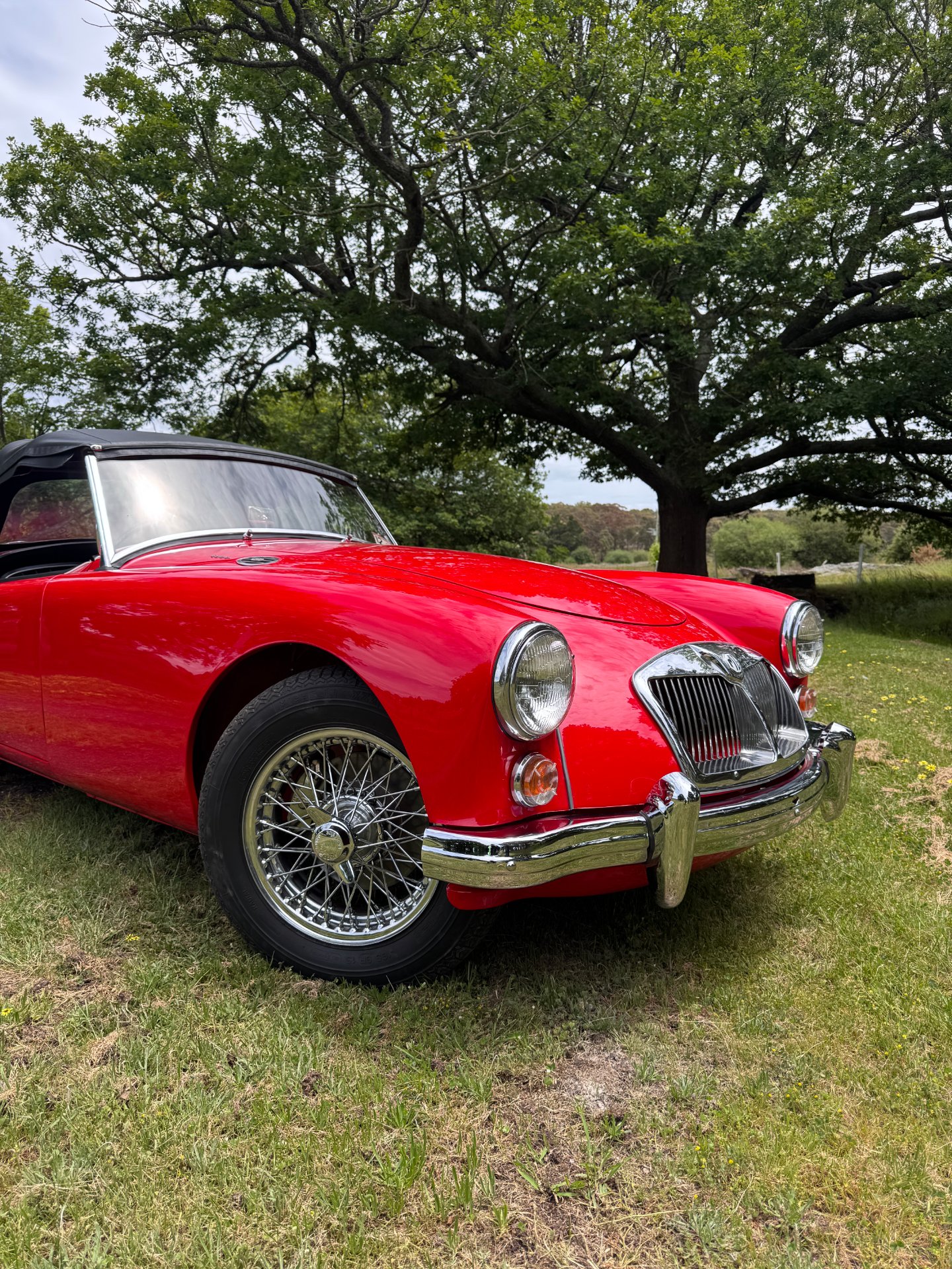 1962 MG MGA 1600 ROADSTER