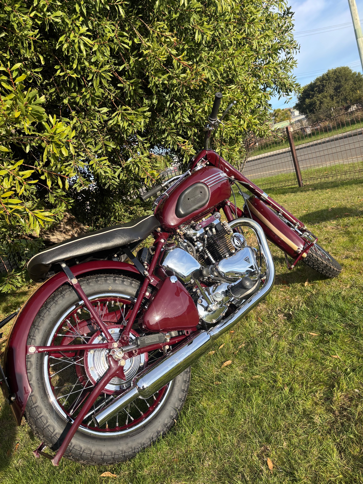 1952 TRIUMPH 5T 500CC TWIN ROAD 