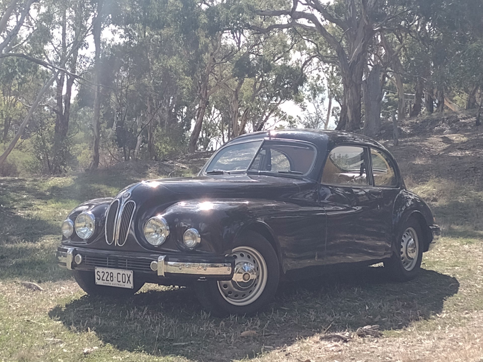 1951 BRISTOL 401 COUPE