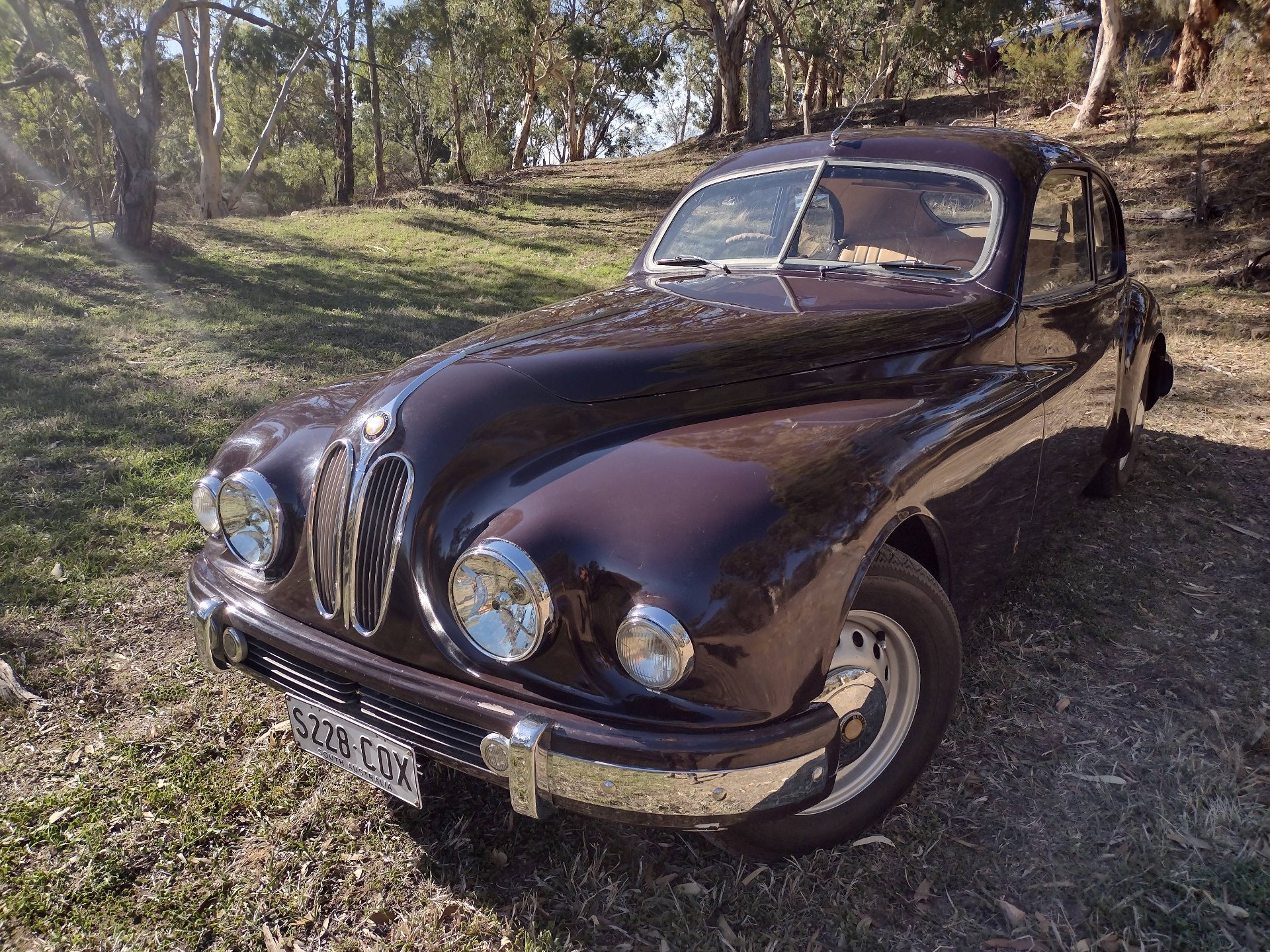 1951 BRISTOL 401 COUPE
