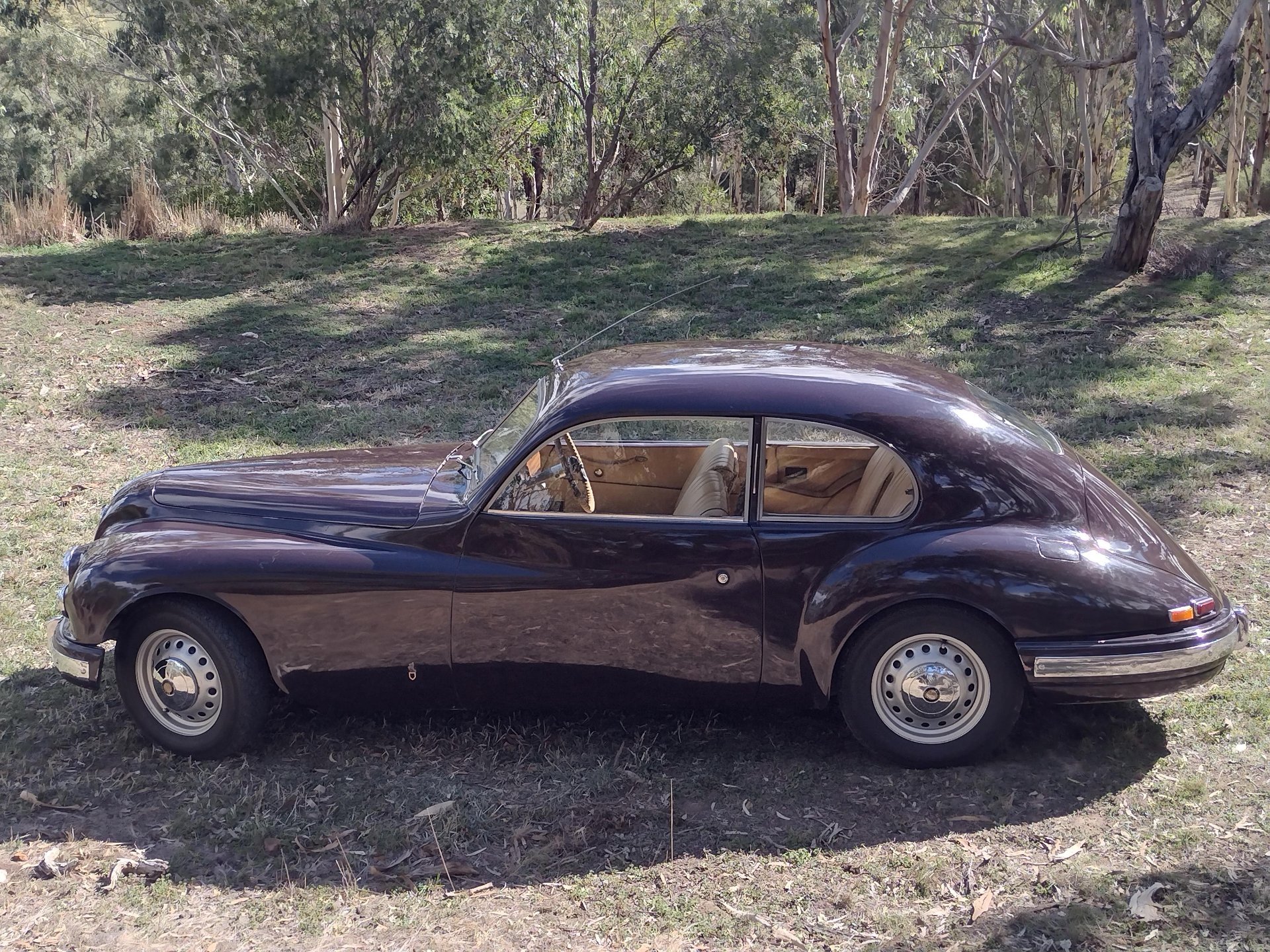 1951 BRISTOL 401 COUPE