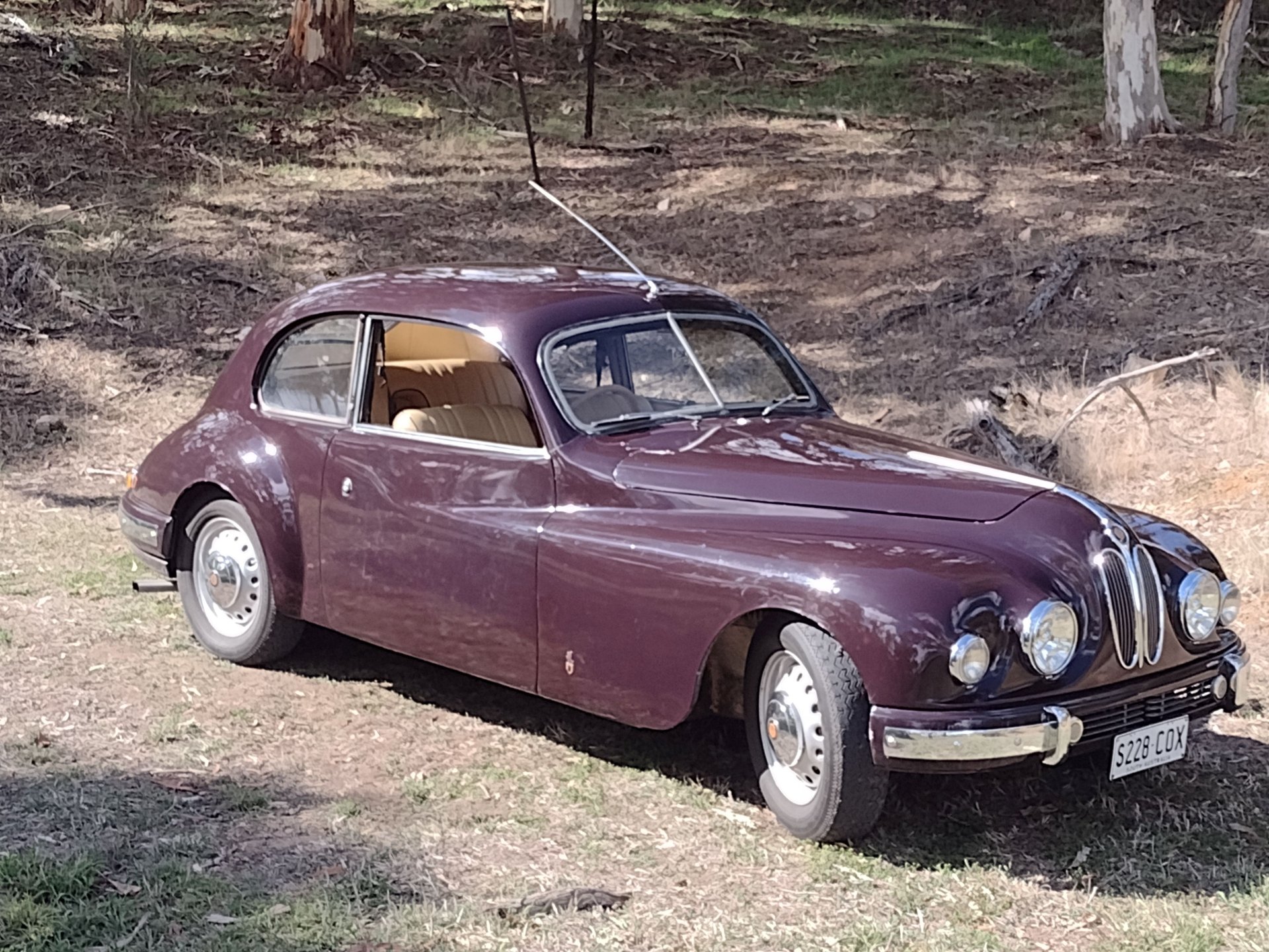 1951 BRISTOL 401 COUPE