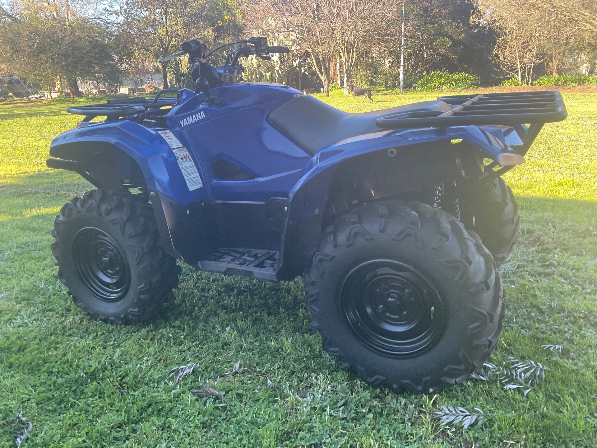 2018 YAMAHA YFM700FAPSE GRIZZLY SE EPS ATV