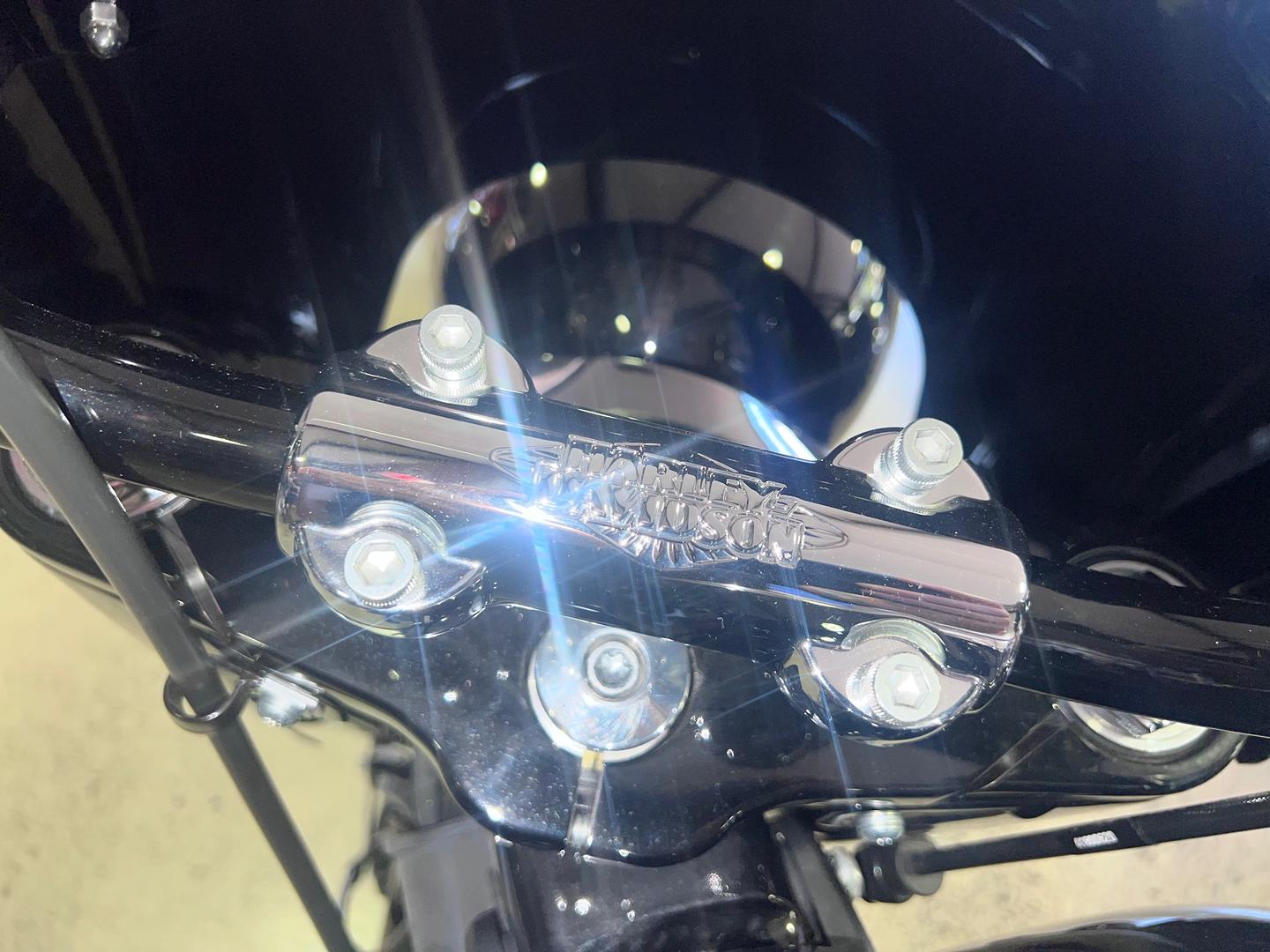 2022 HARLEY-DAVIDSON HERITAGE CLASSIC 114 (FLHCS) CRUISER
