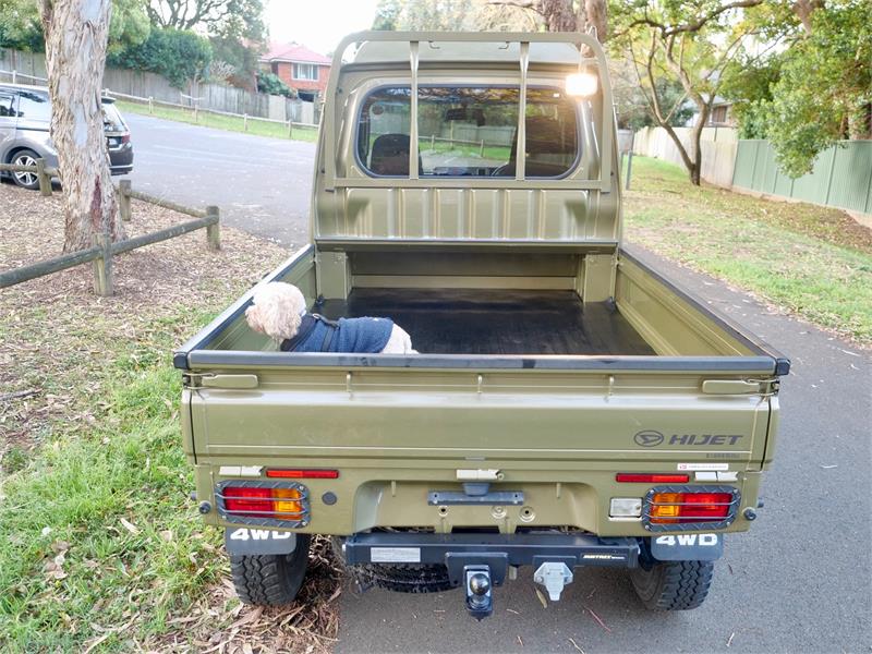 2019 DAIHATSU HIJET T.JUMBO 4WD UTILITY