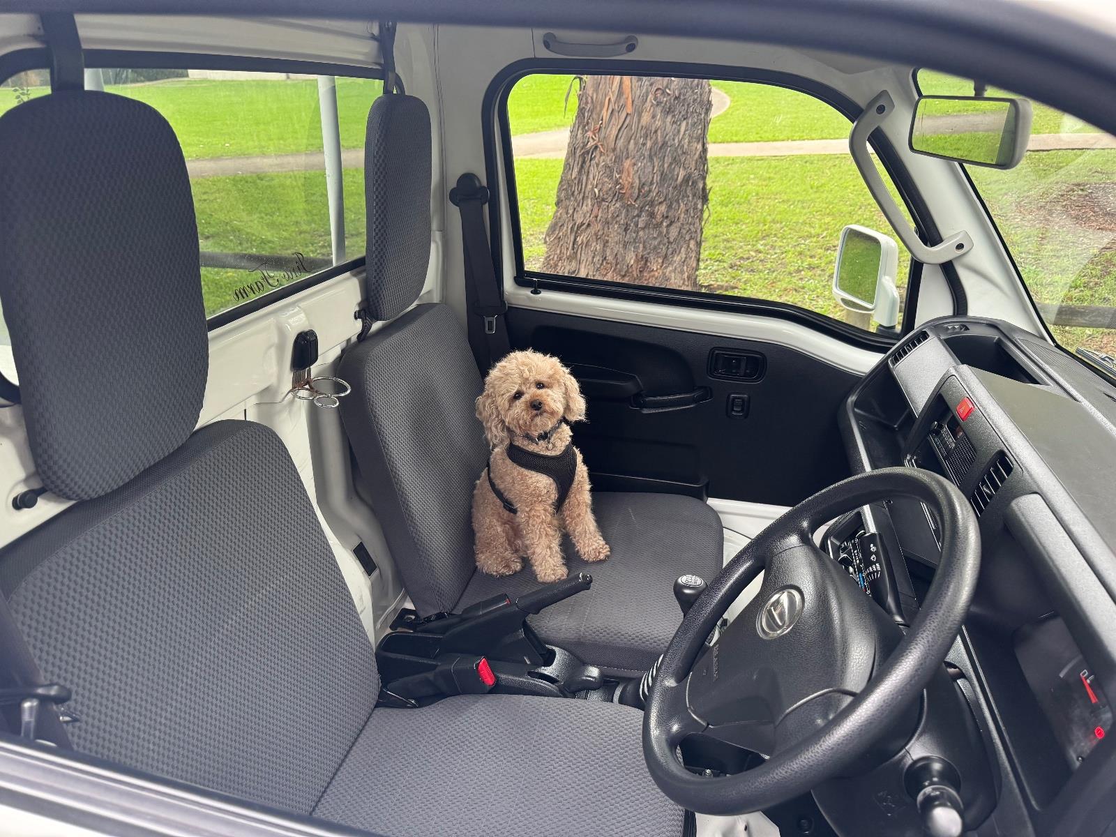 2018 DAIHATSU HI-JET 4WD 5 SP MANUAL MINI TRUCK
